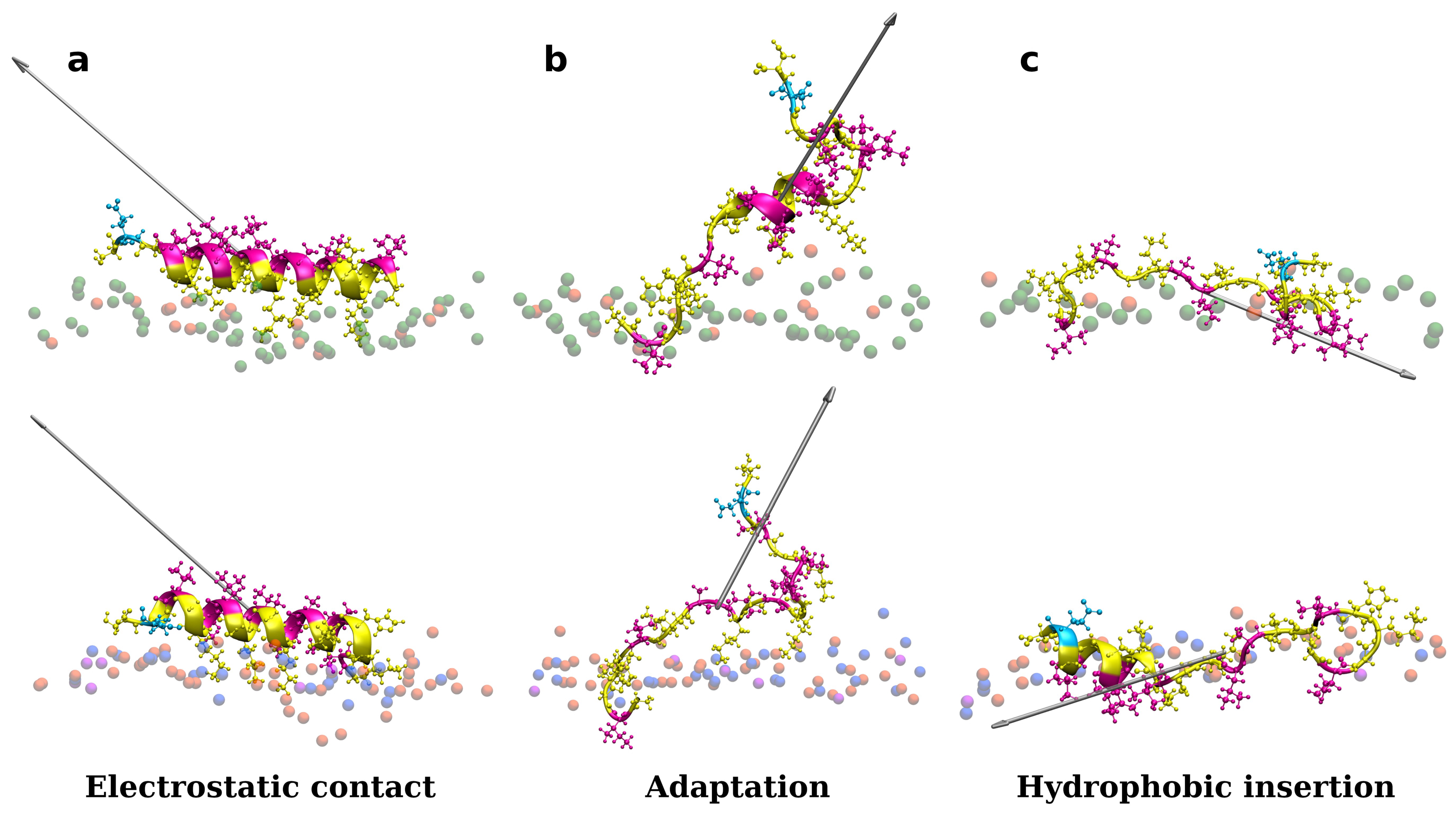 Membranes 12 00891 g001