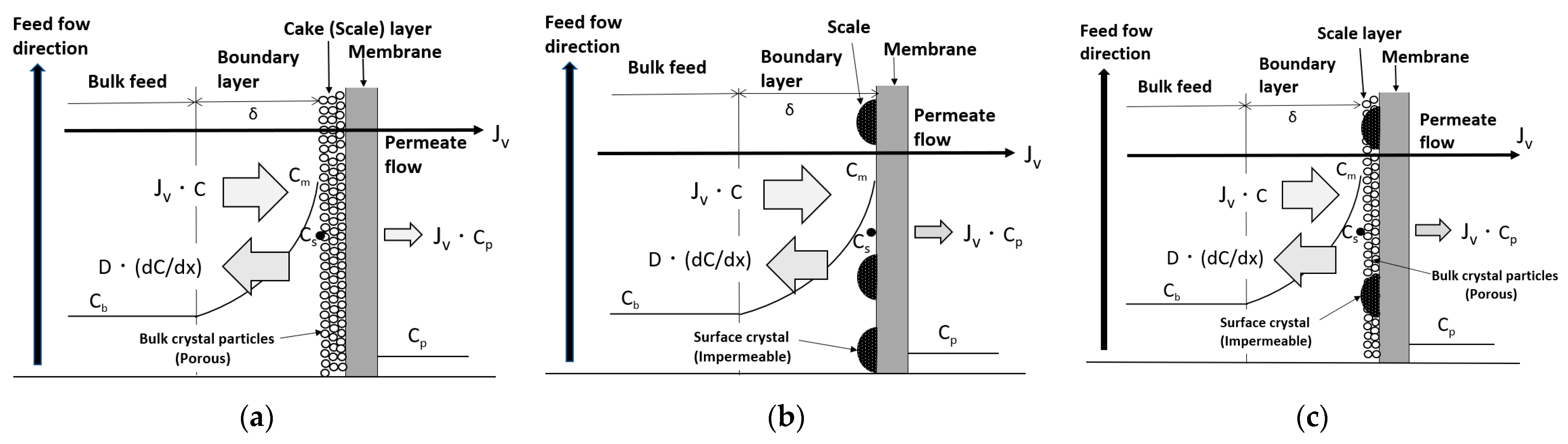Membranes 12 00894 g006 Membranes 12 00894 g006