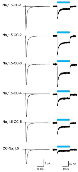Membranes 12 00907 g002