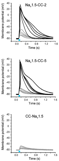 Membranes 12 00907 g003