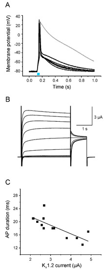 Membranes 12 00907 g005