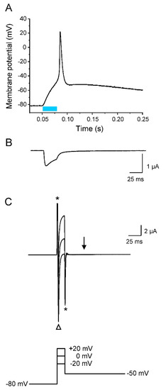 Membranes 12 00907 g006