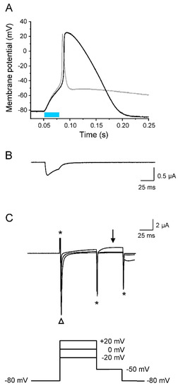 Membranes 12 00907 g008