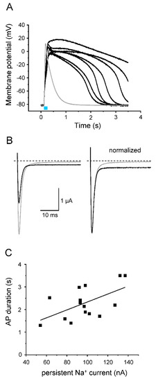 Membranes 12 00907 g009