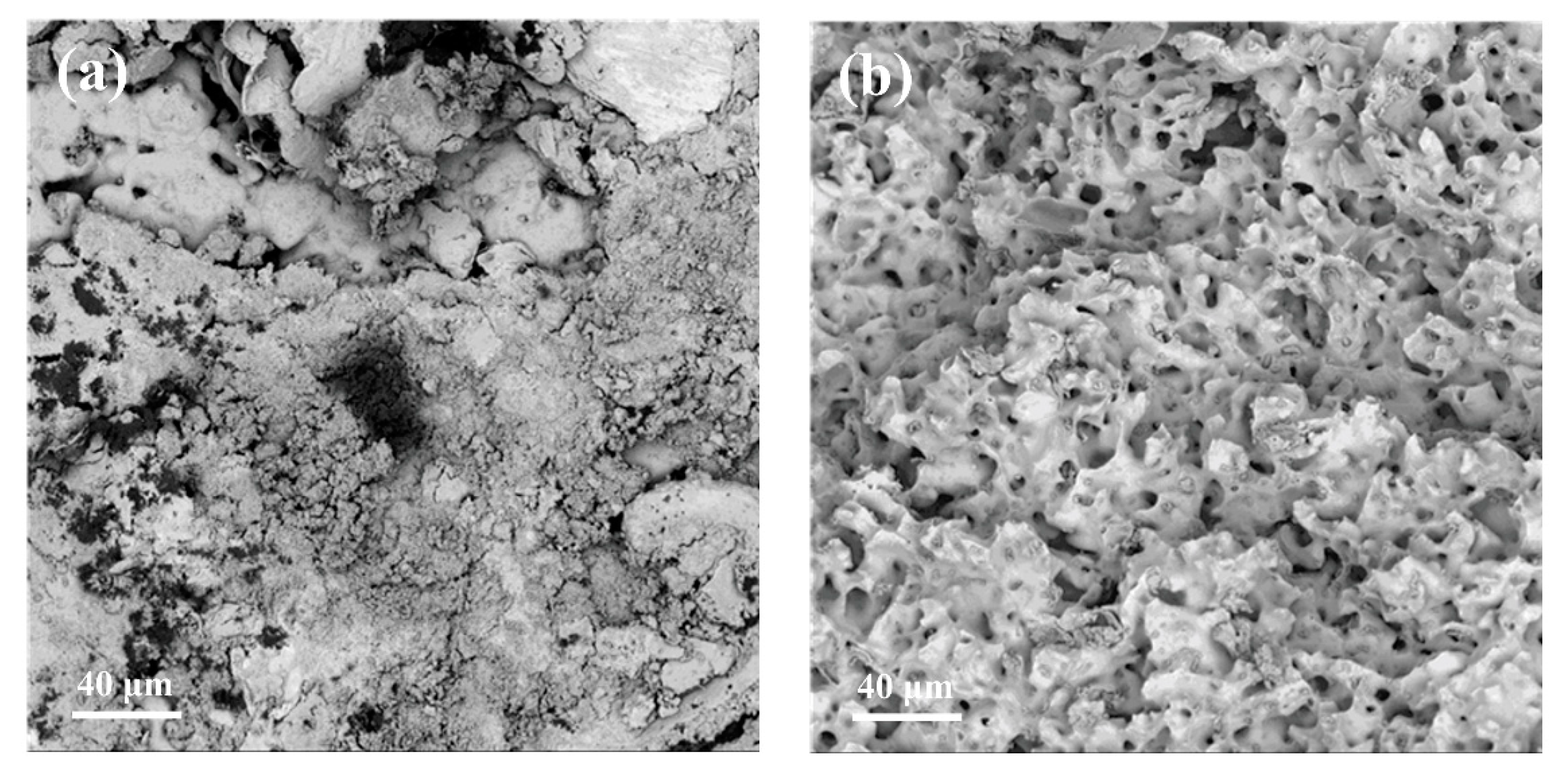 Membranes 12 00910 g009 Membranes 12 00910 g009