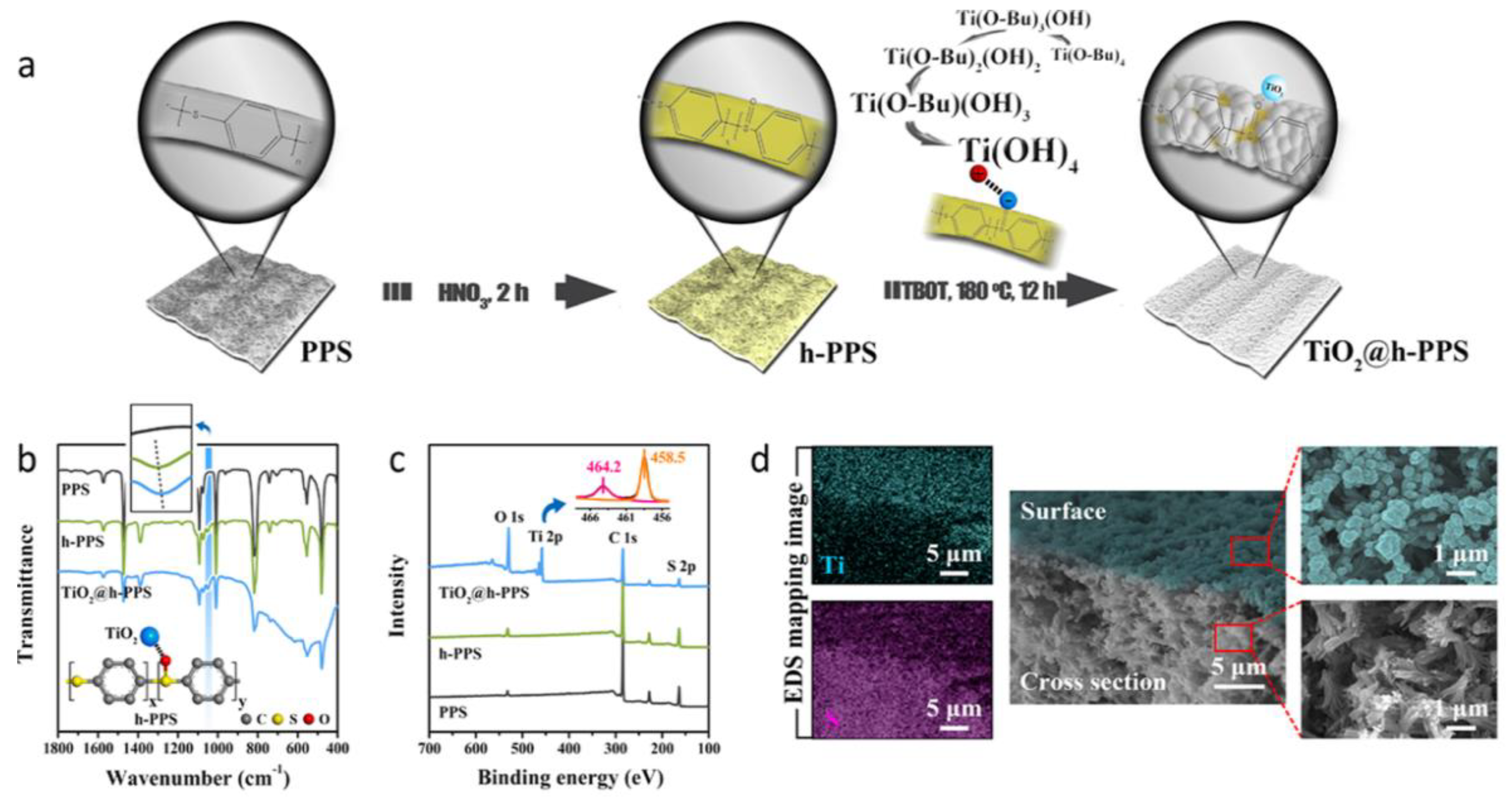 Membranes 12 00924 g006