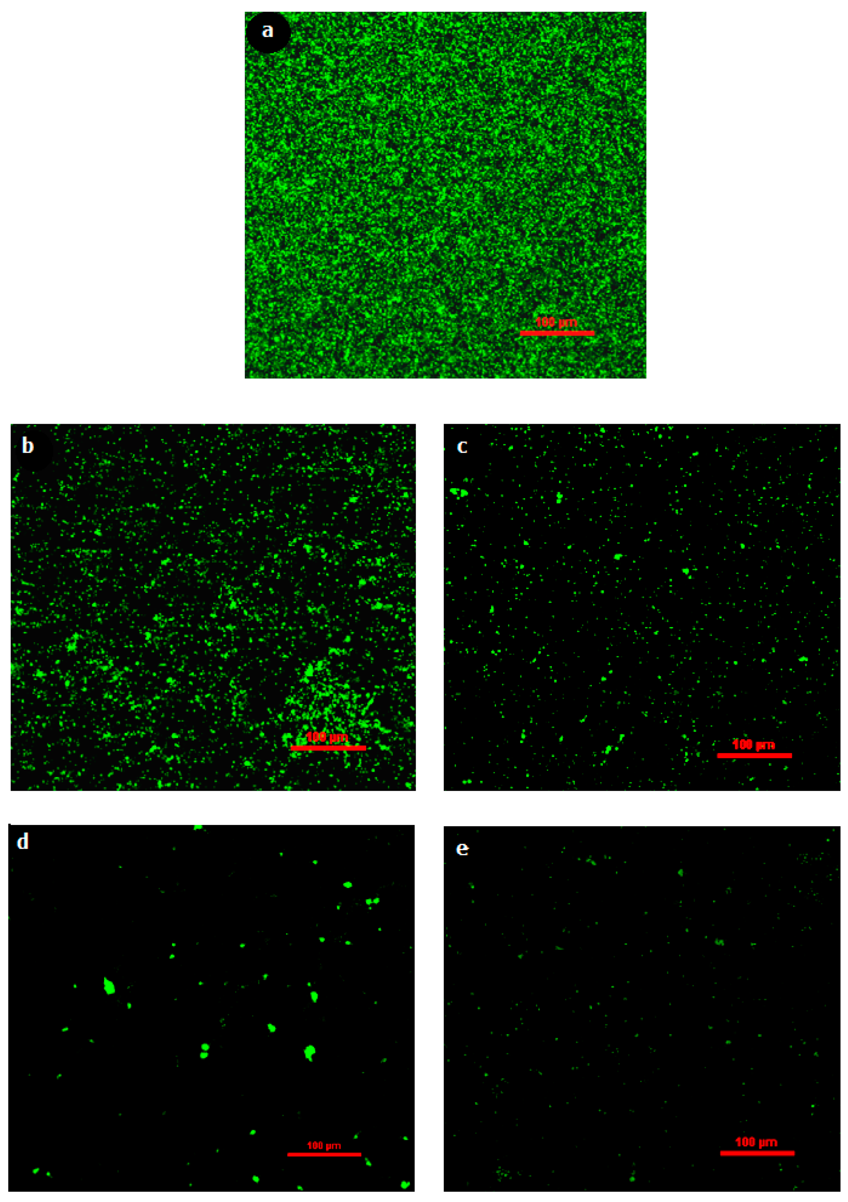 Membranes 12 00928 g010