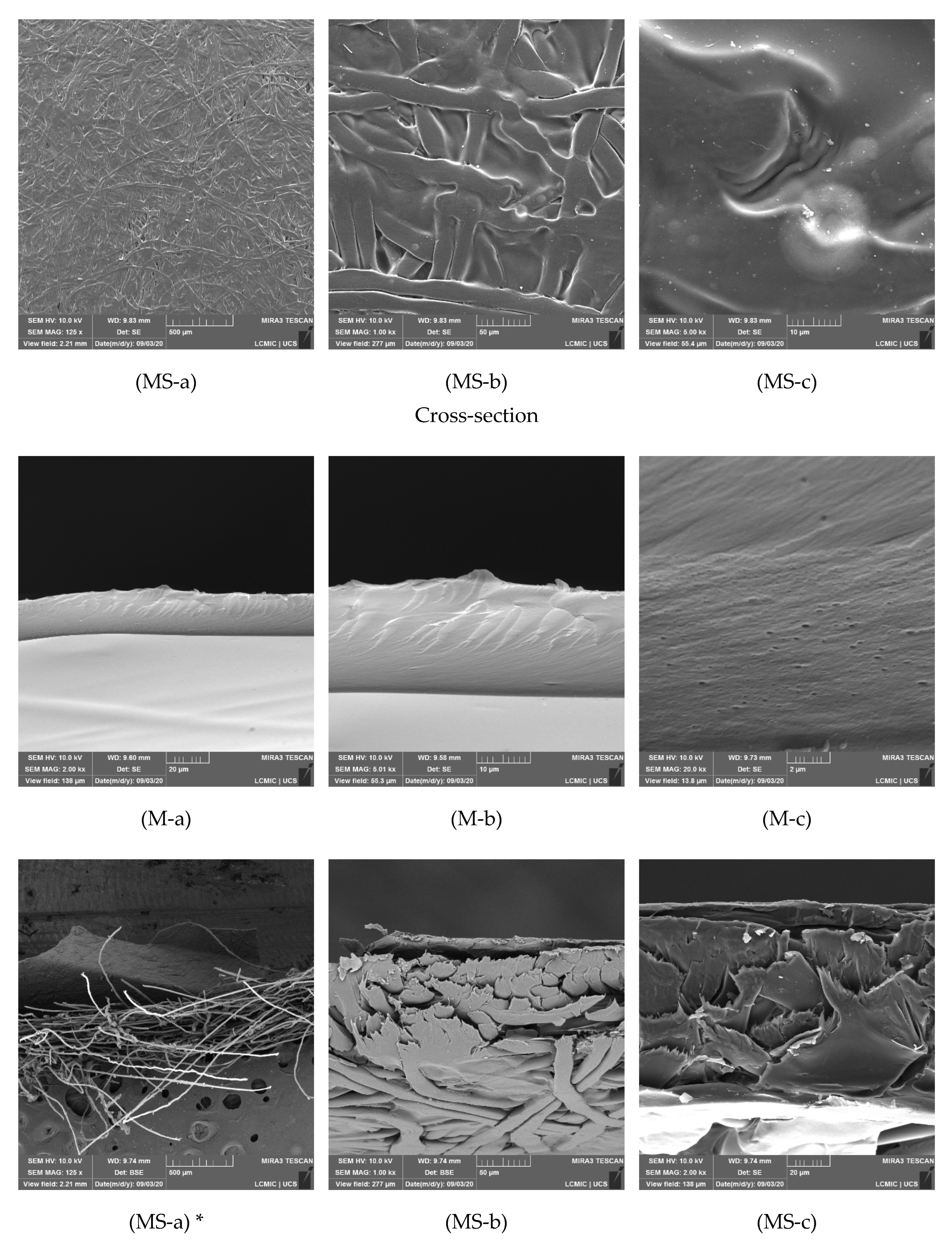 Membranes 12 00930 g005b