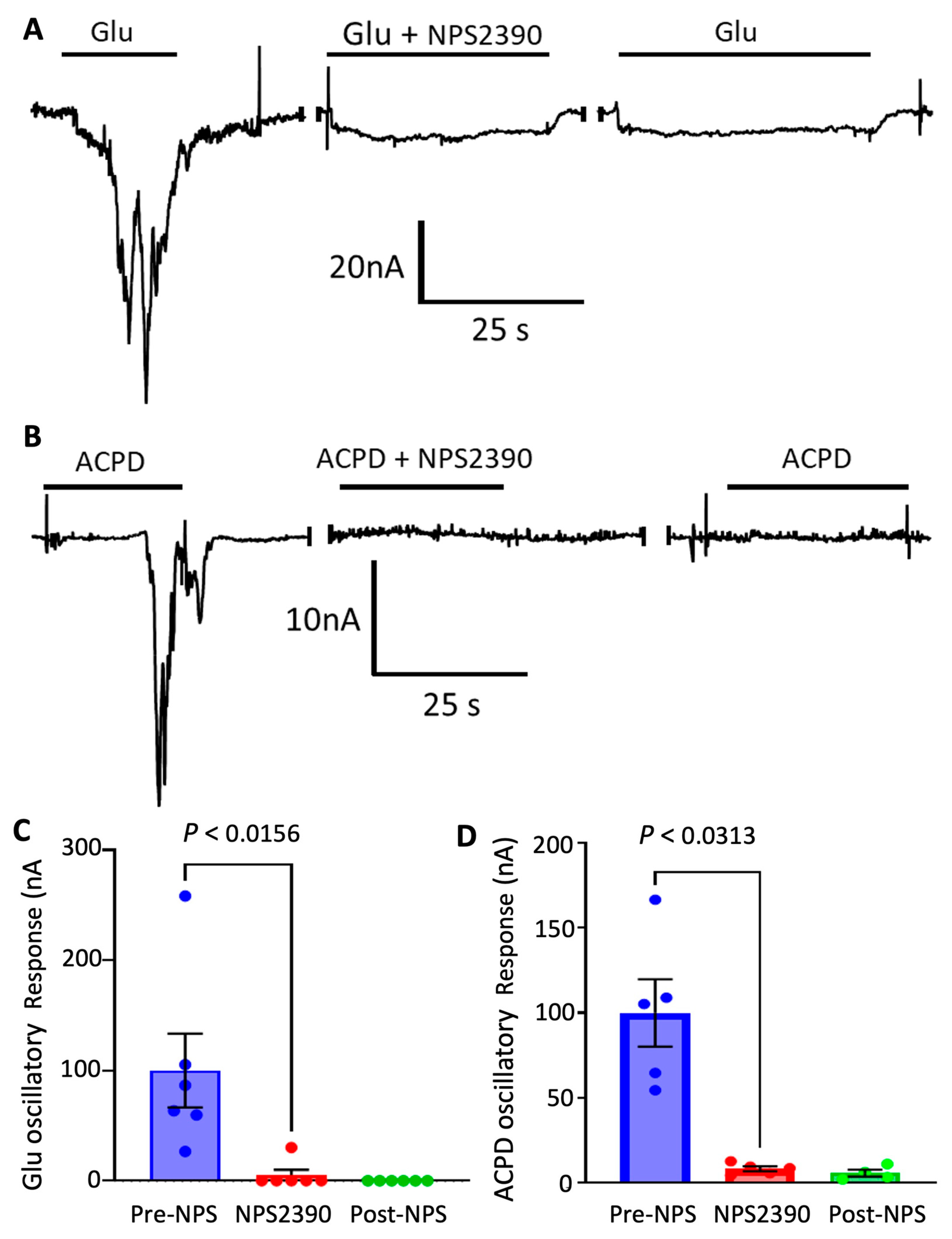 Membranes 12 00931 g003