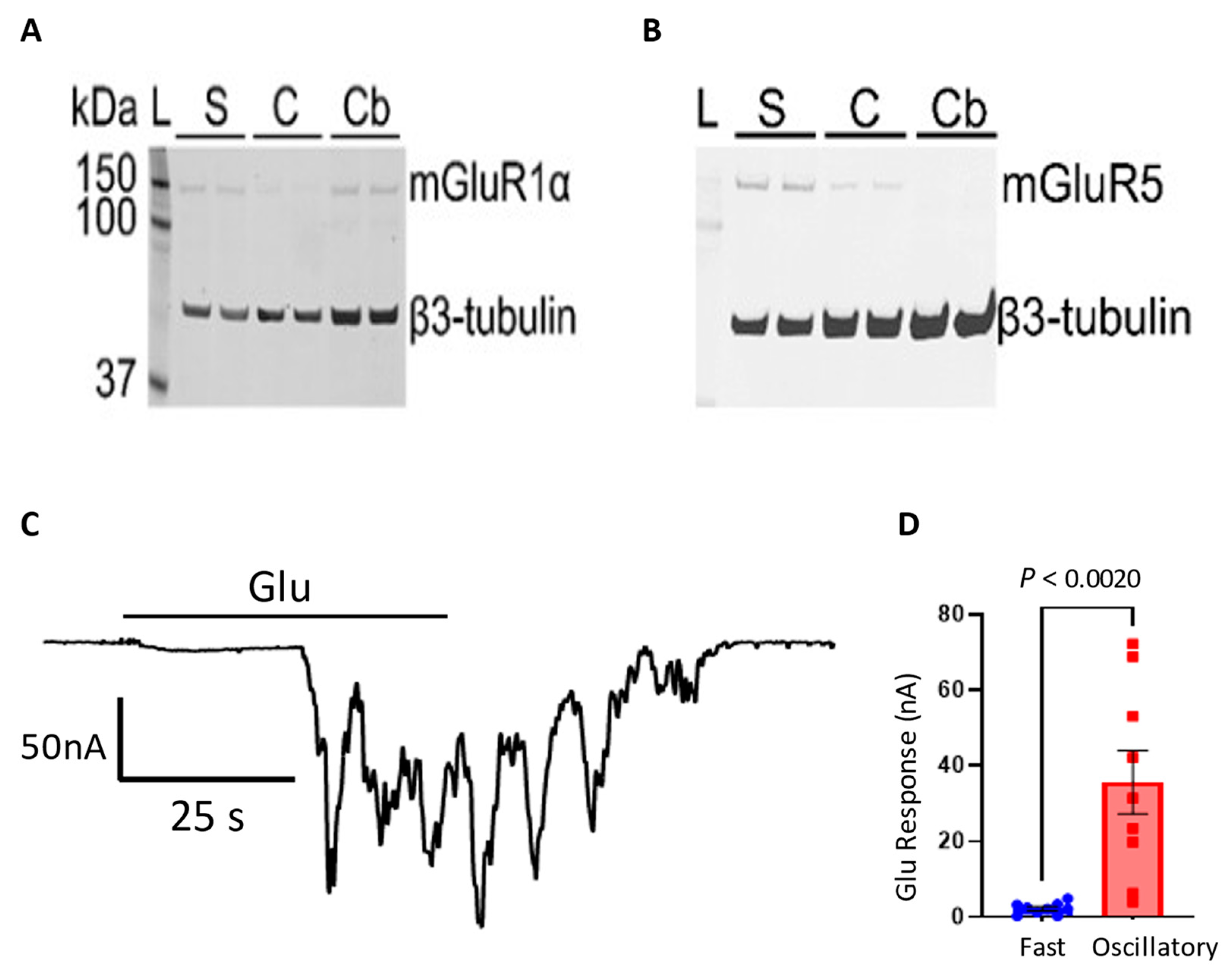 Membranes 12 00931 g006