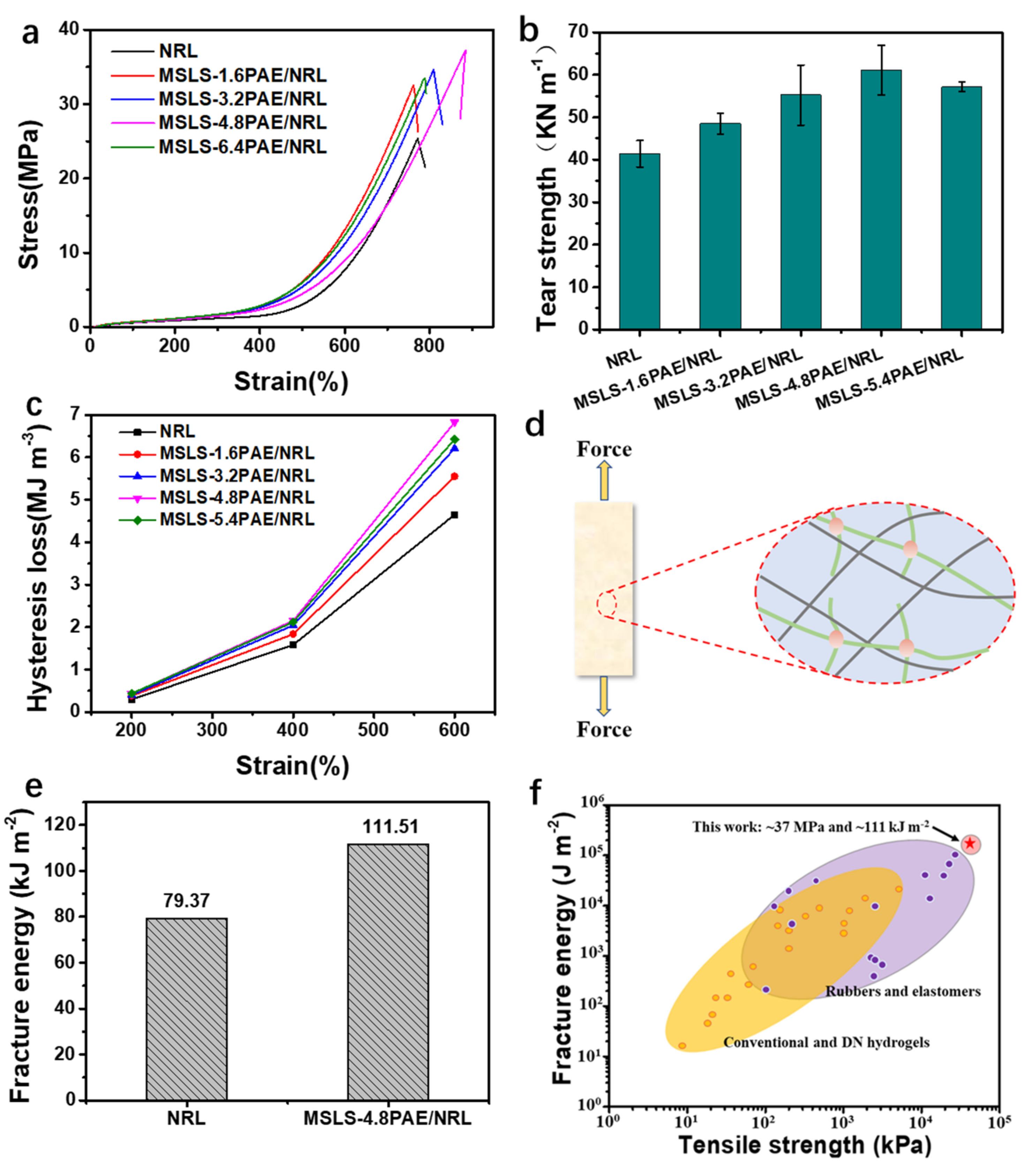 Membranes 12 00933 g003
