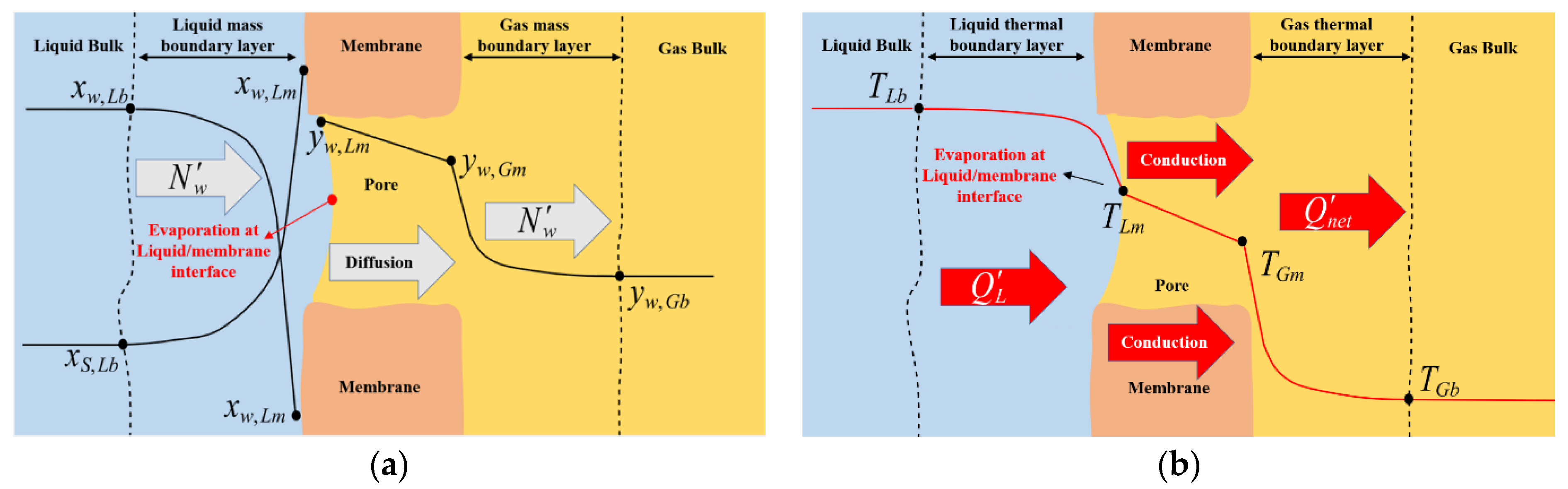 Membranes 12 00939 g003