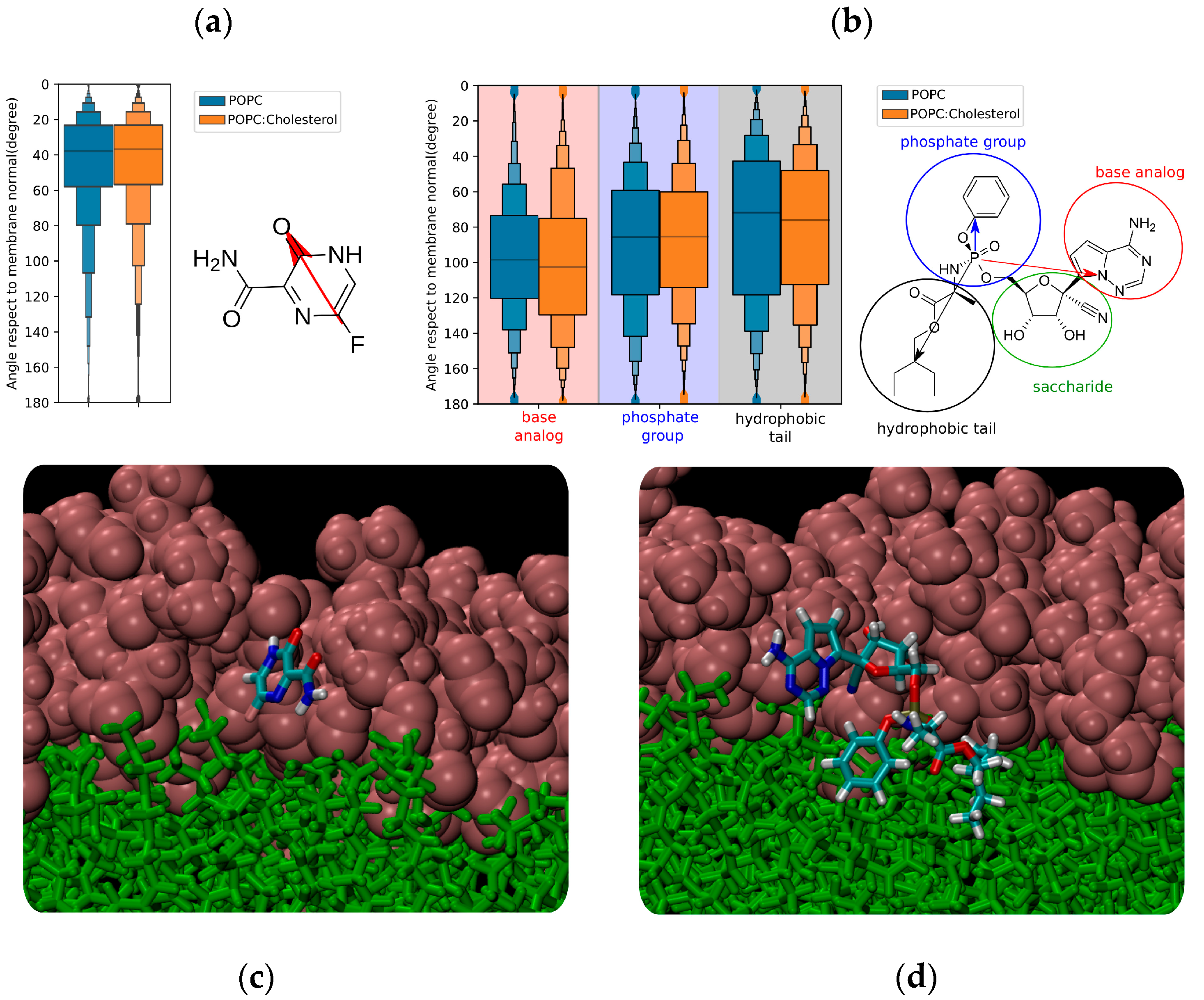 Membranes 12 00941 g004