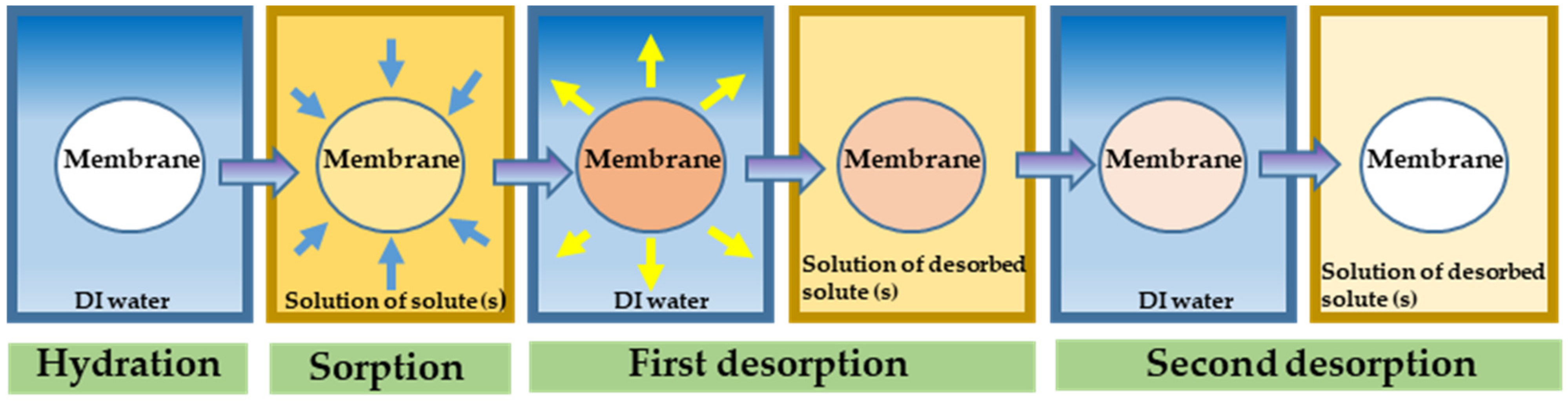 Membranes 12 00942 g004
