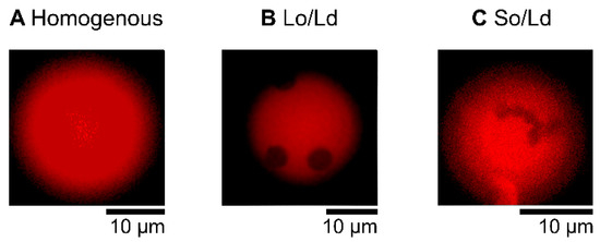 Membranes 12 00943 g001 550