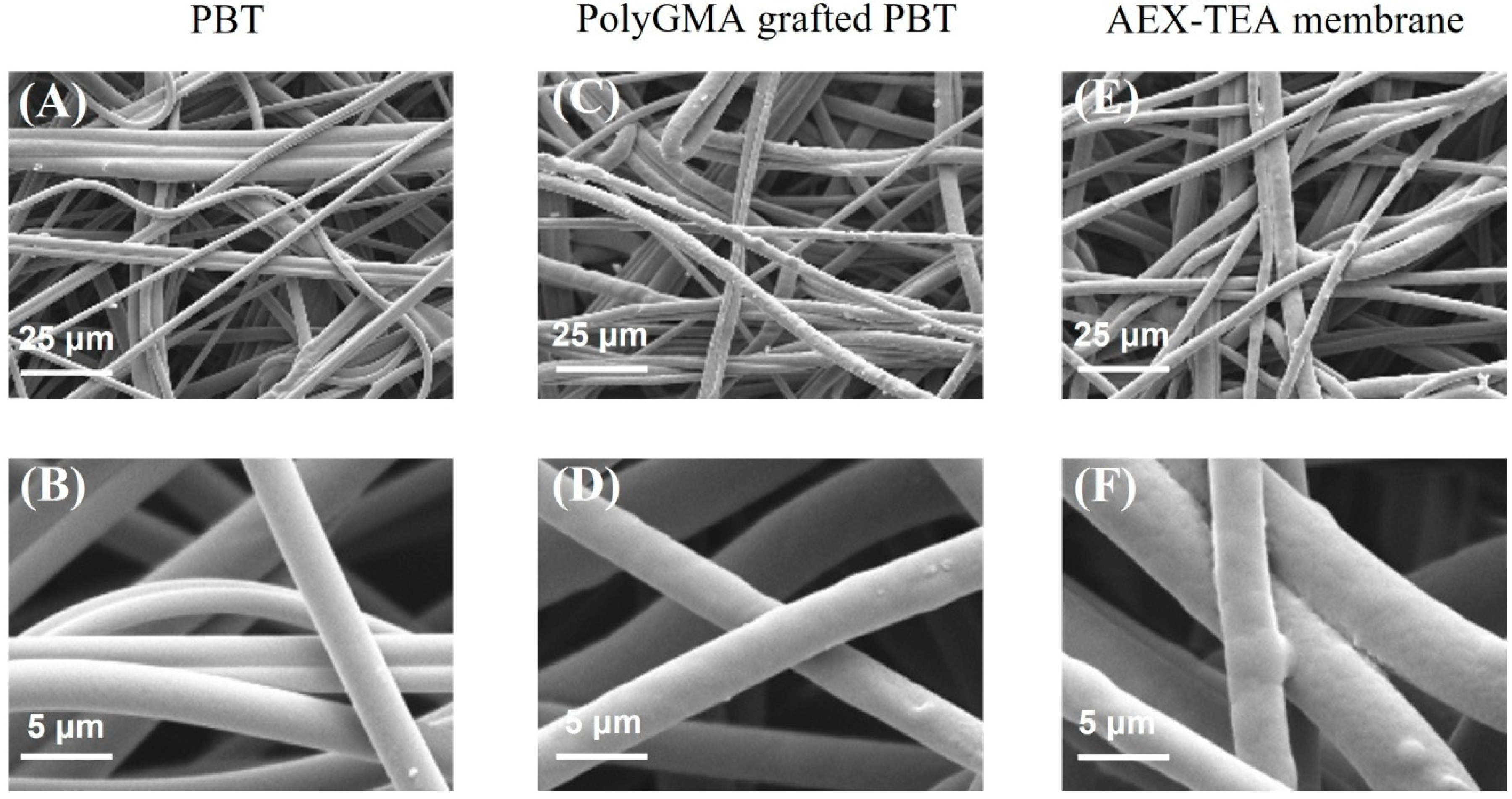 Membranes 12 00944 g001