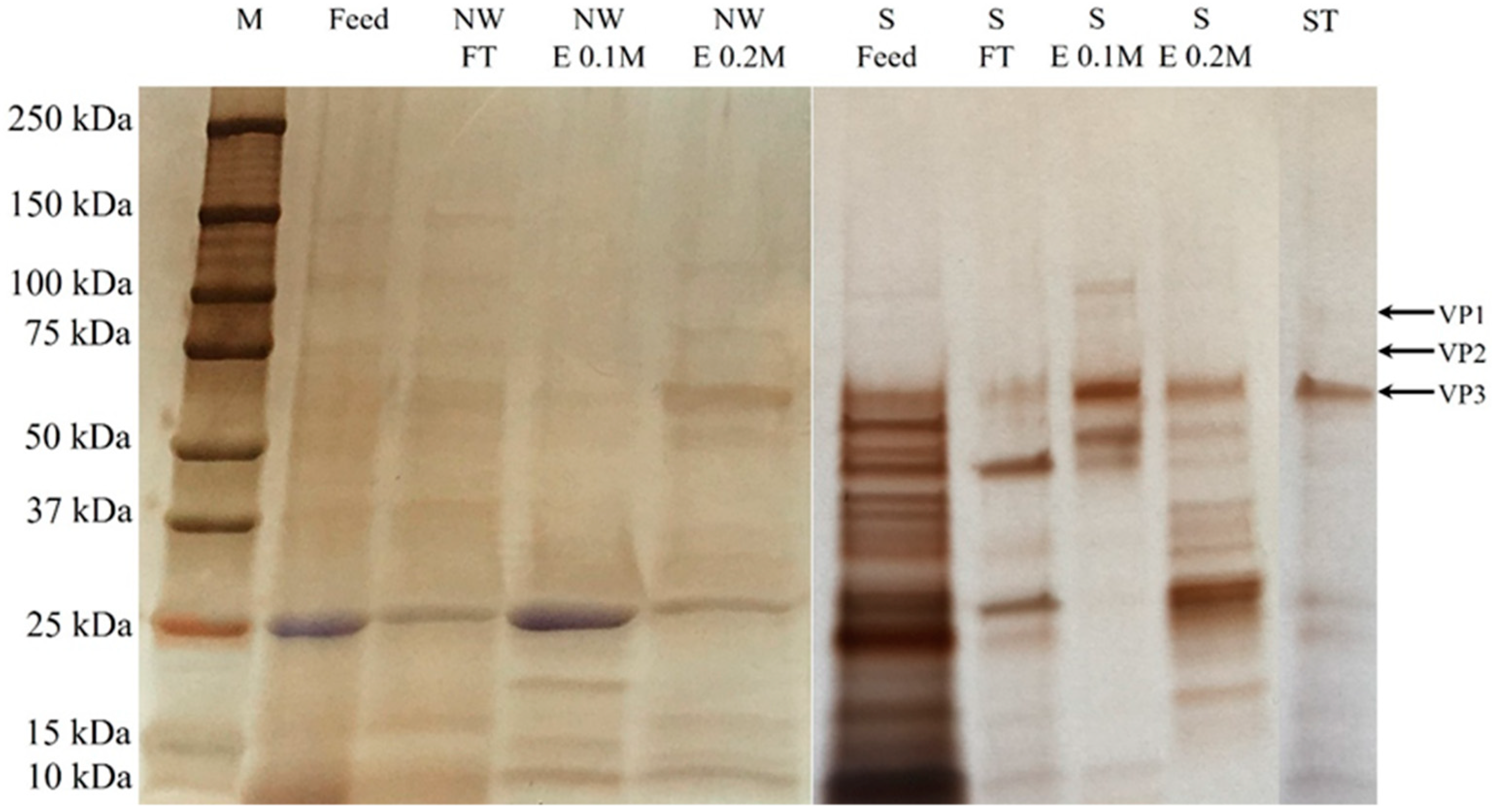 Membranes 12 00944 g004