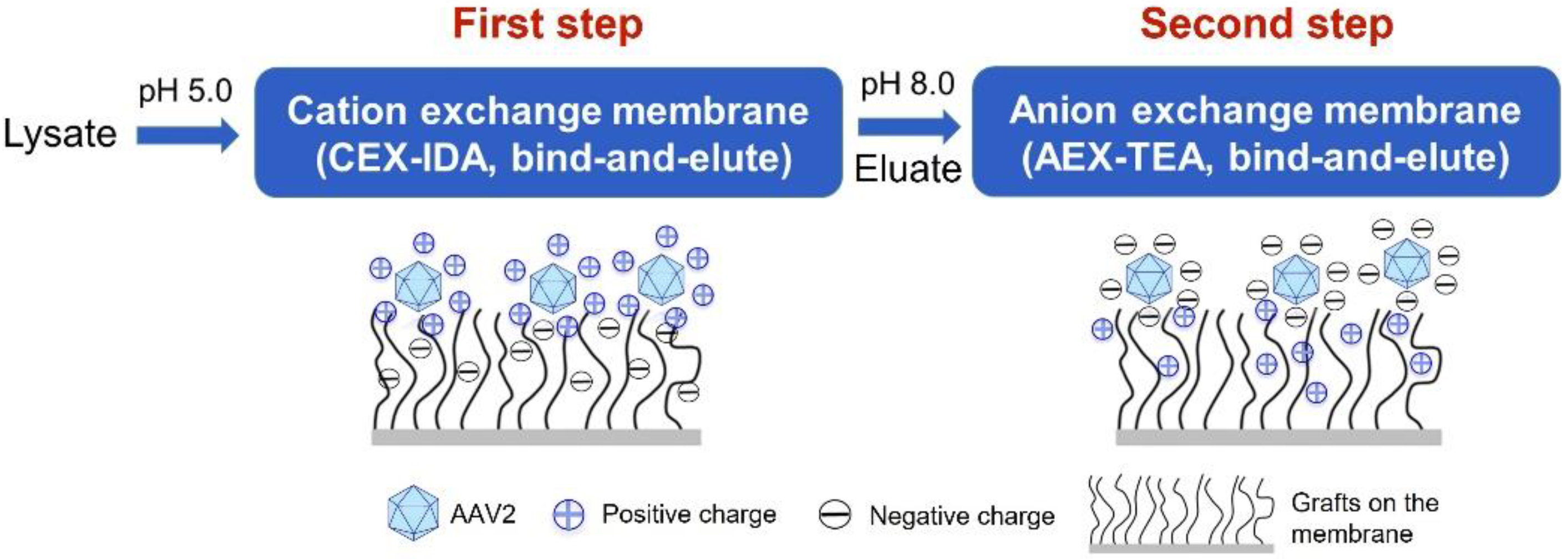 Membranes 12 00944 g005