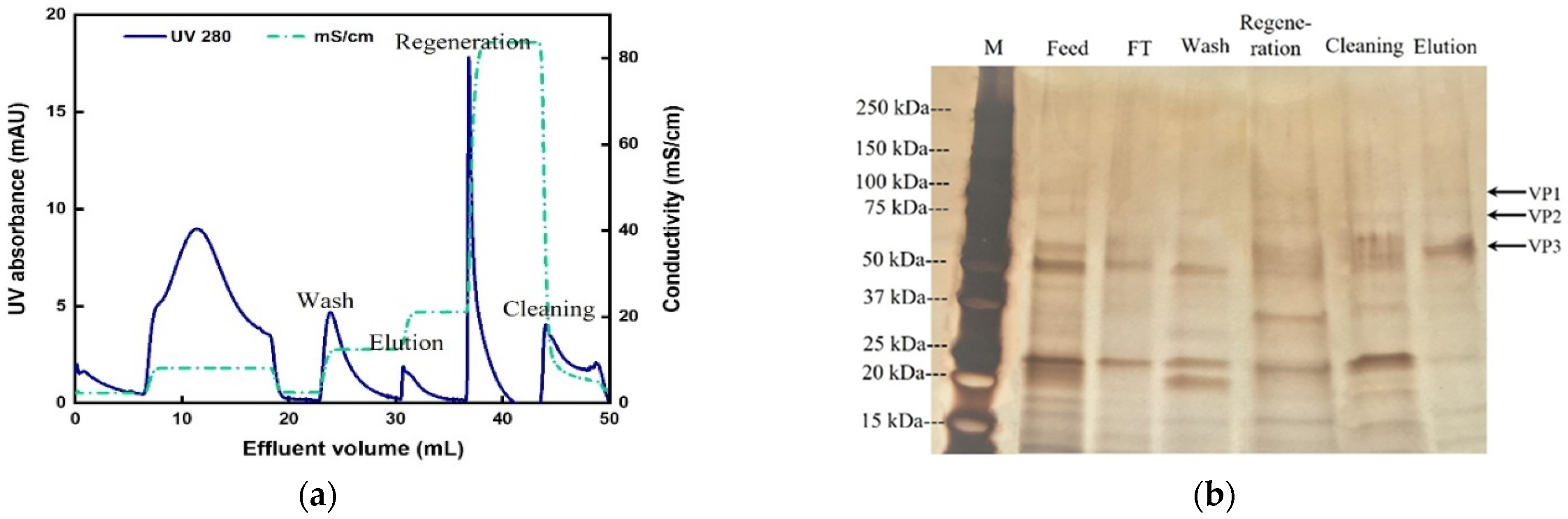 Membranes 12 00944 g008