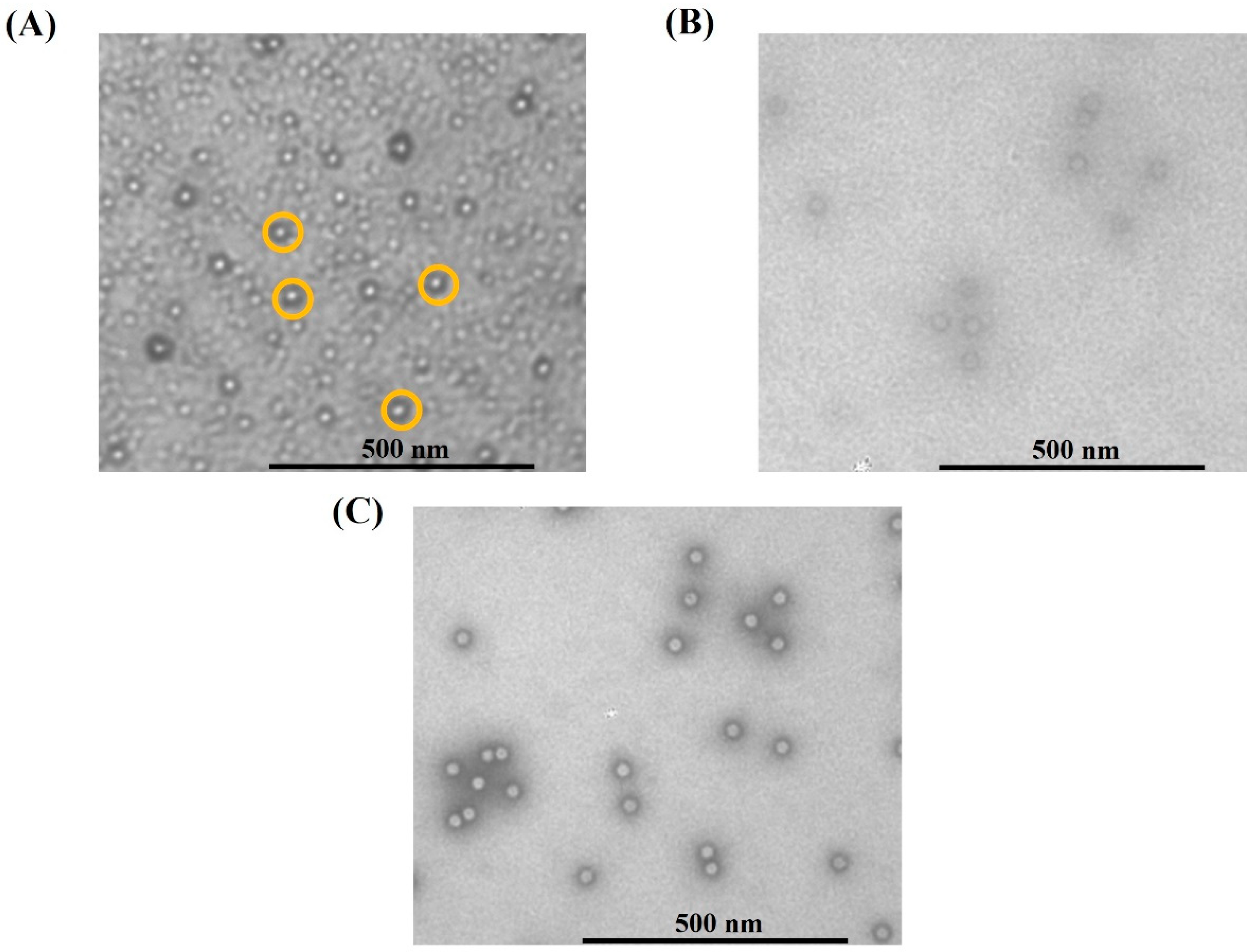 Membranes 12 00944 g009