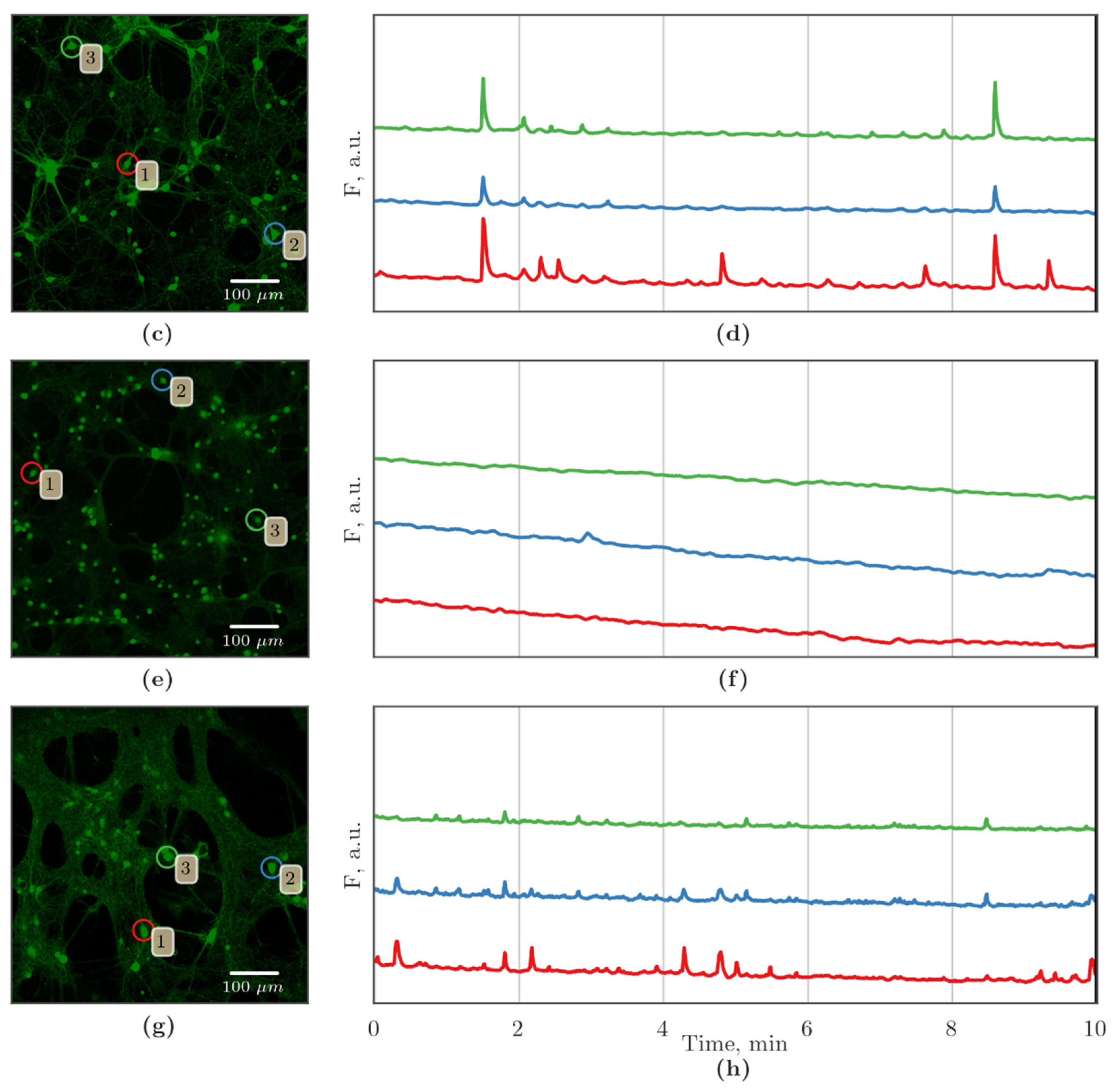 Membranes 12 00948 g003b