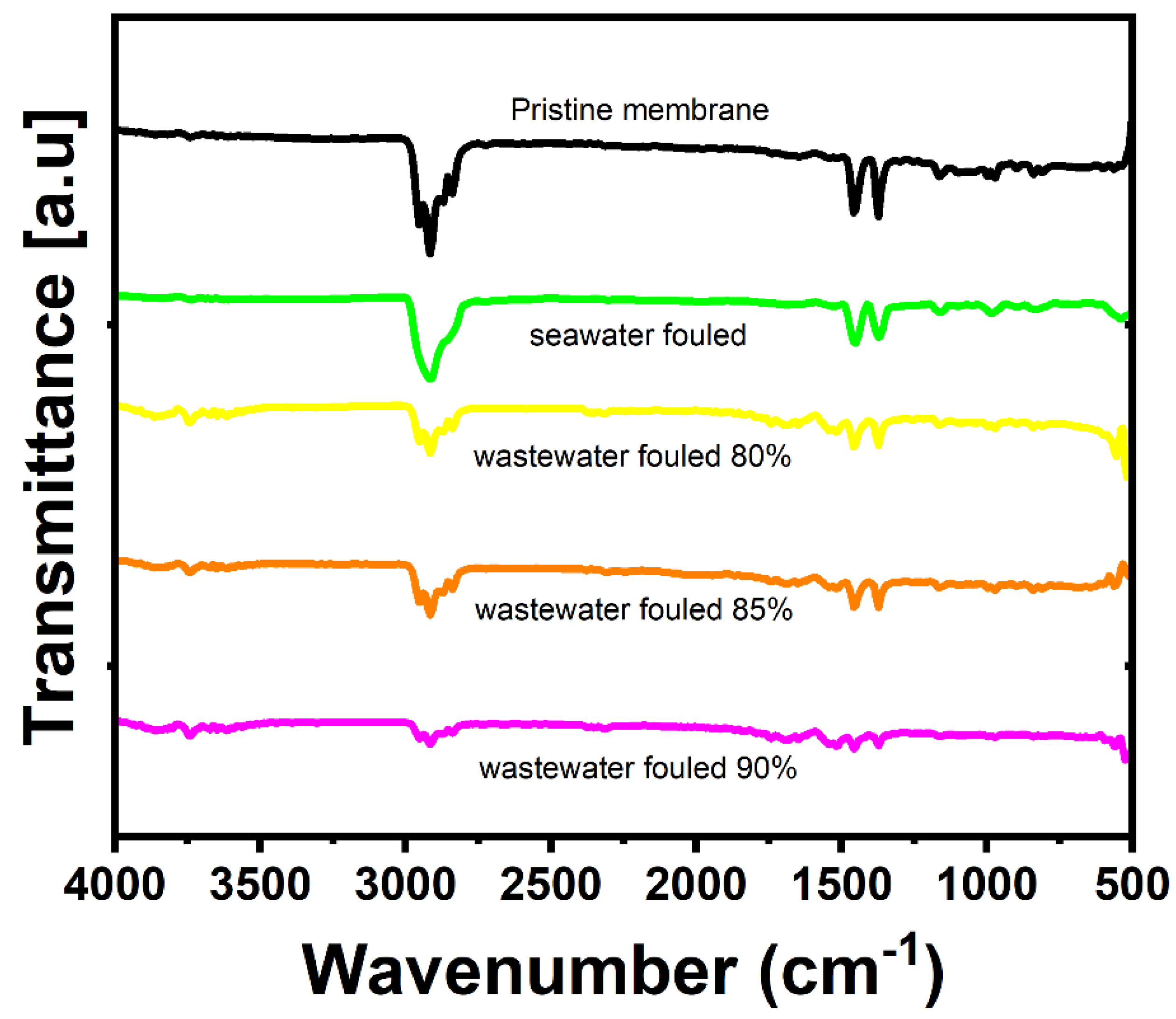 Membranes 12 00951 g009