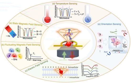 Membranes 12 00957 g003