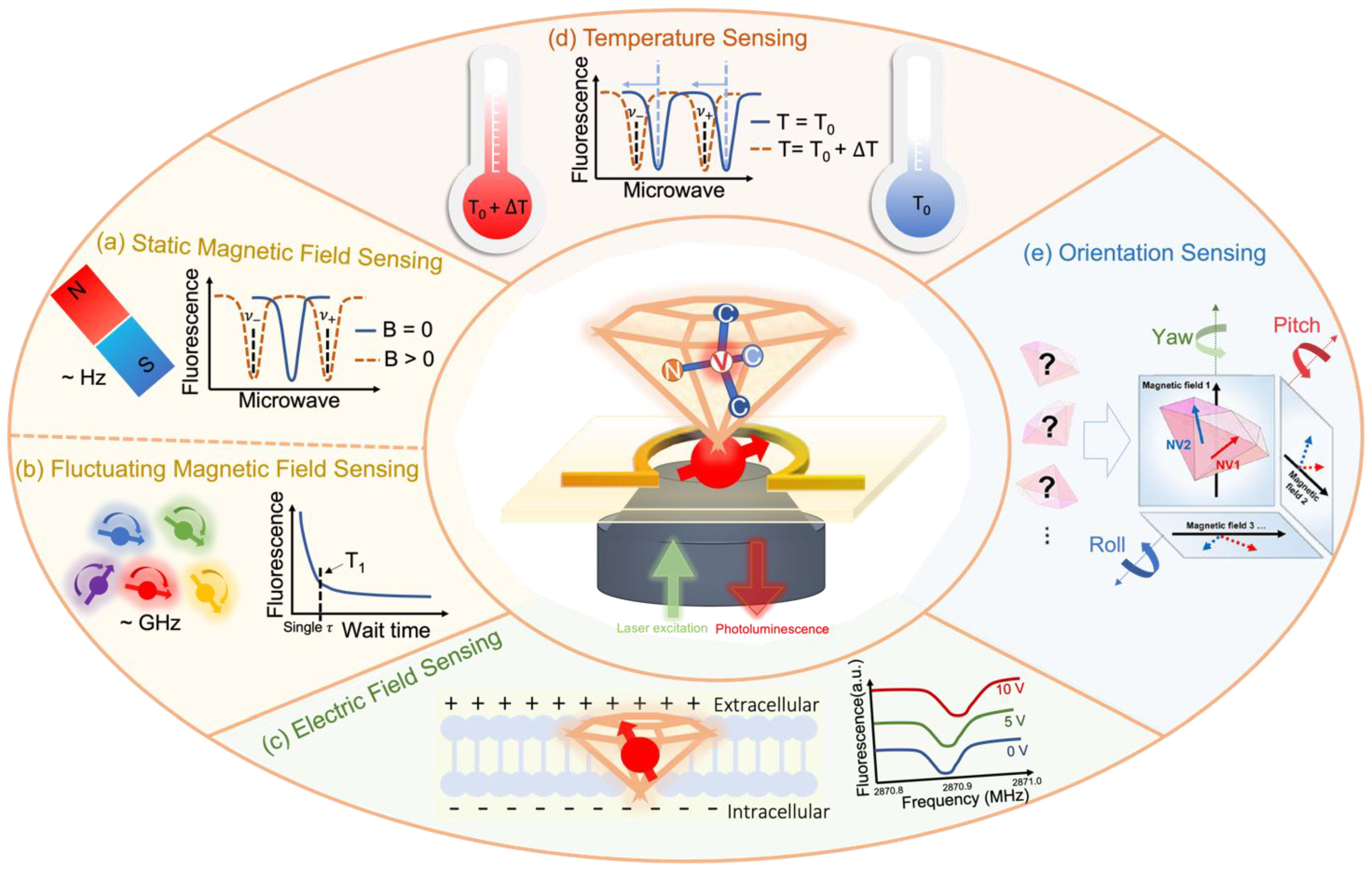 Membranes 12 00957 g003