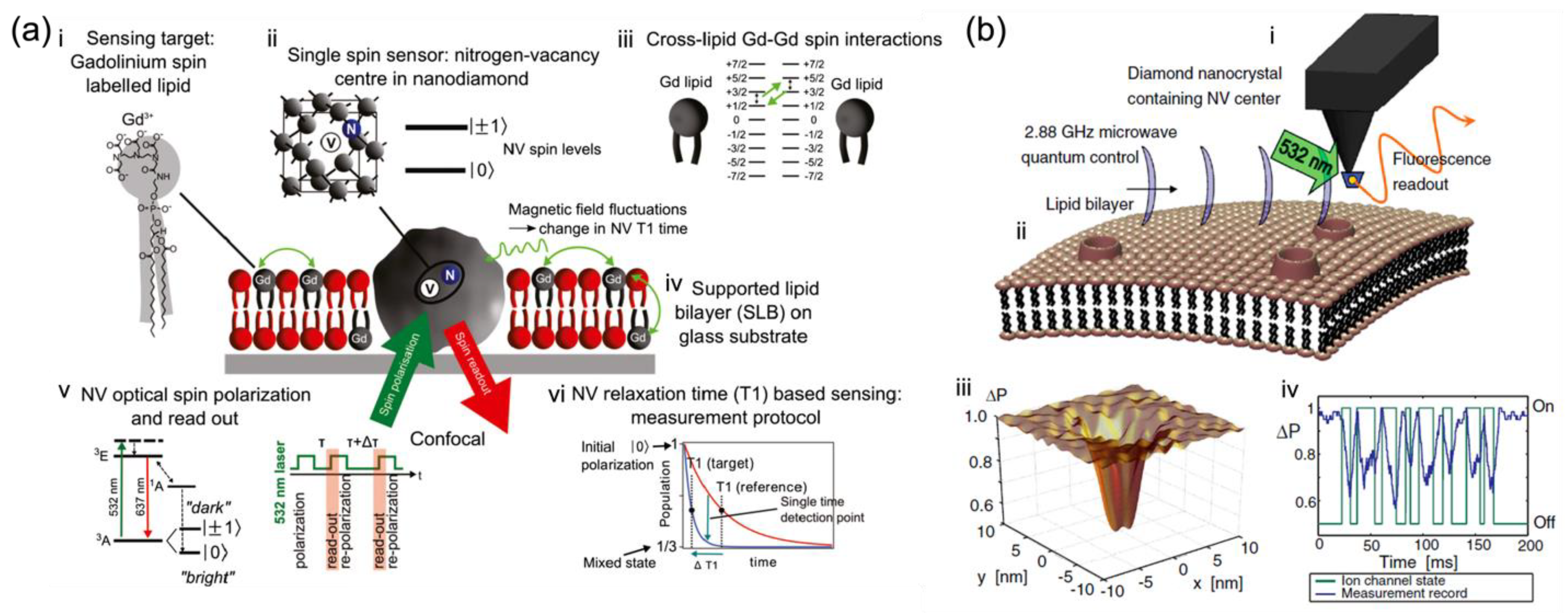 Membranes 12 00957 g004