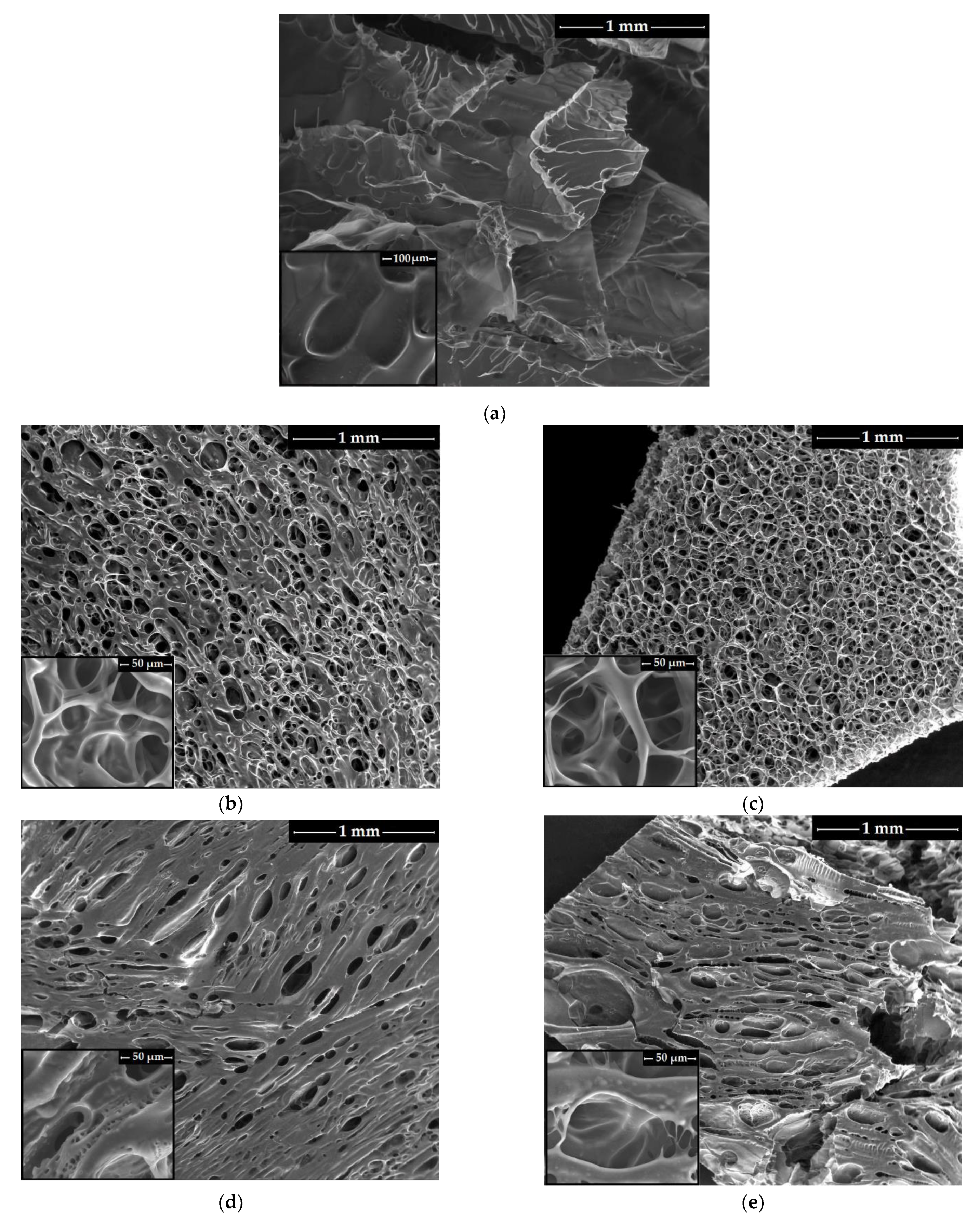 Membranes 12 00973 g003