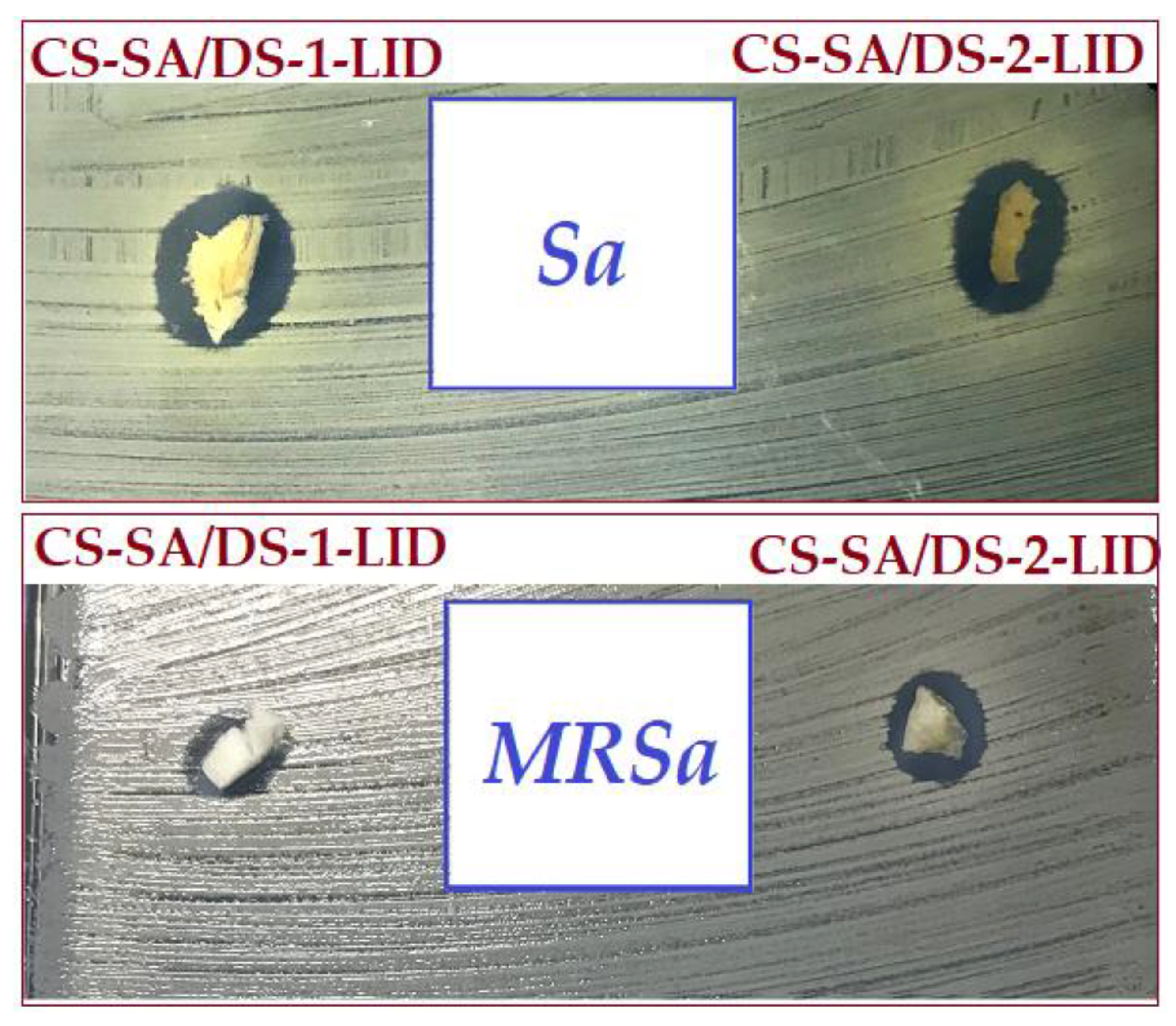 Membranes 12 00973 g008