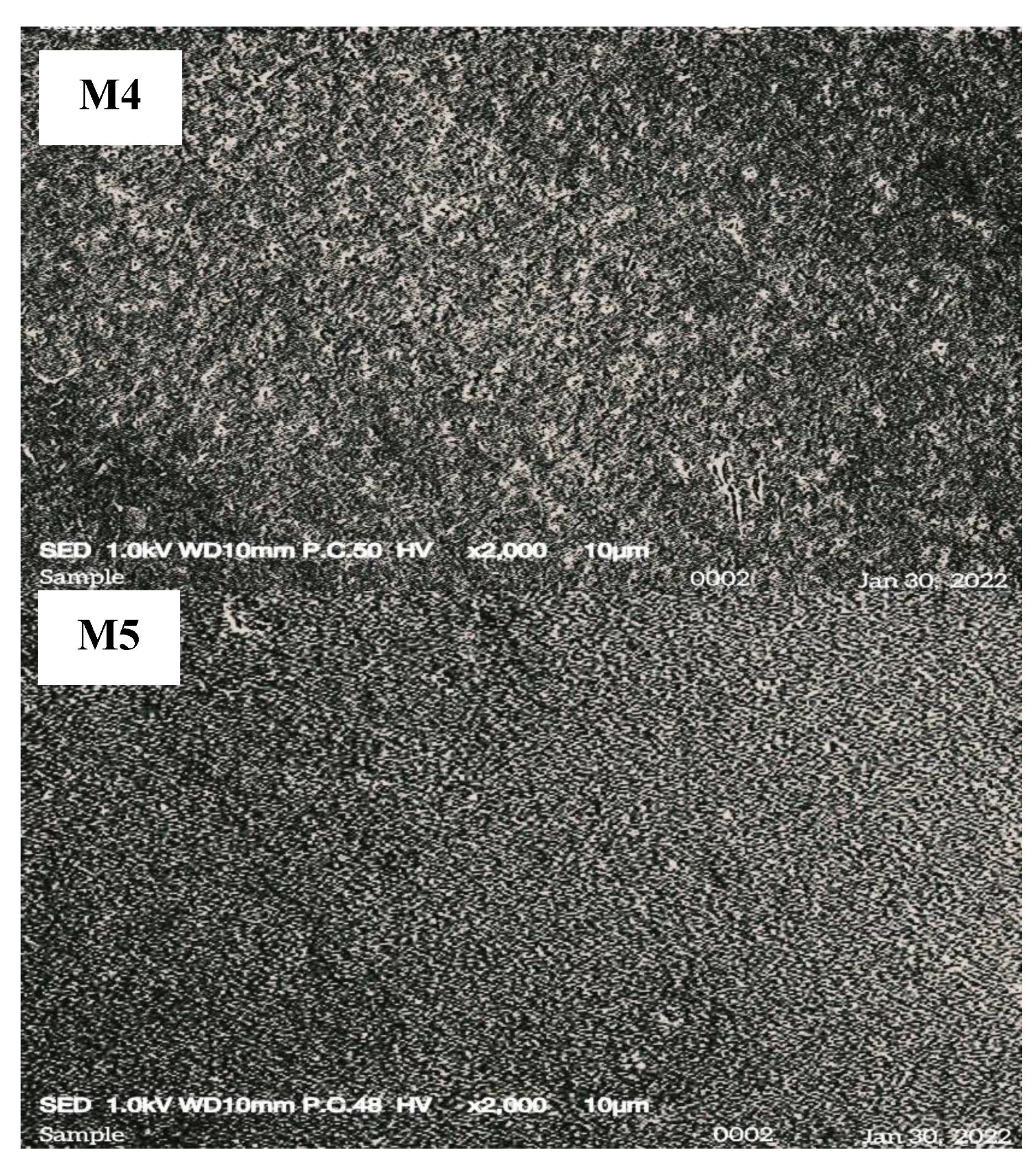 Membranes 12 00996 g002b