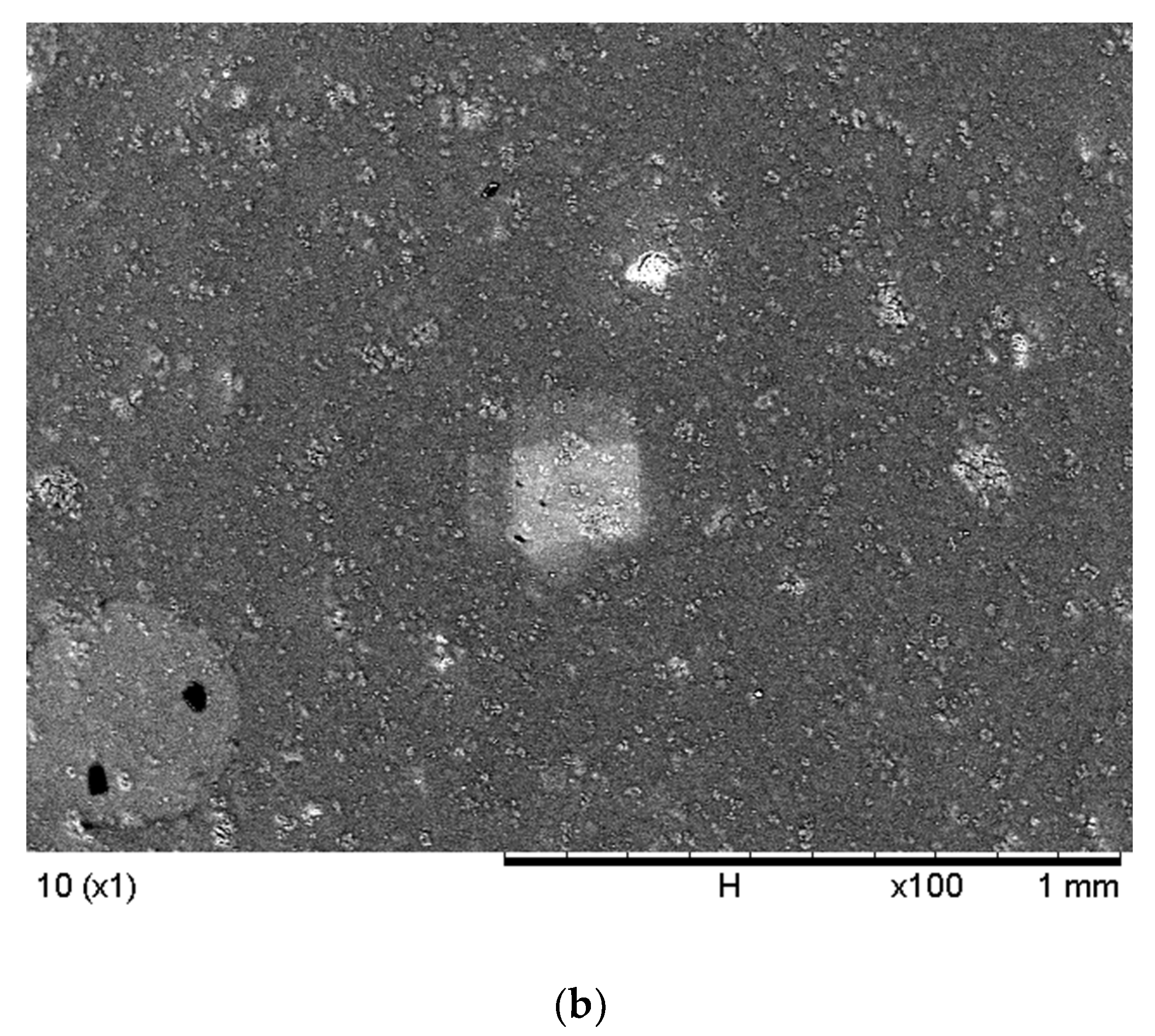 Membranes 12 01020 g002b