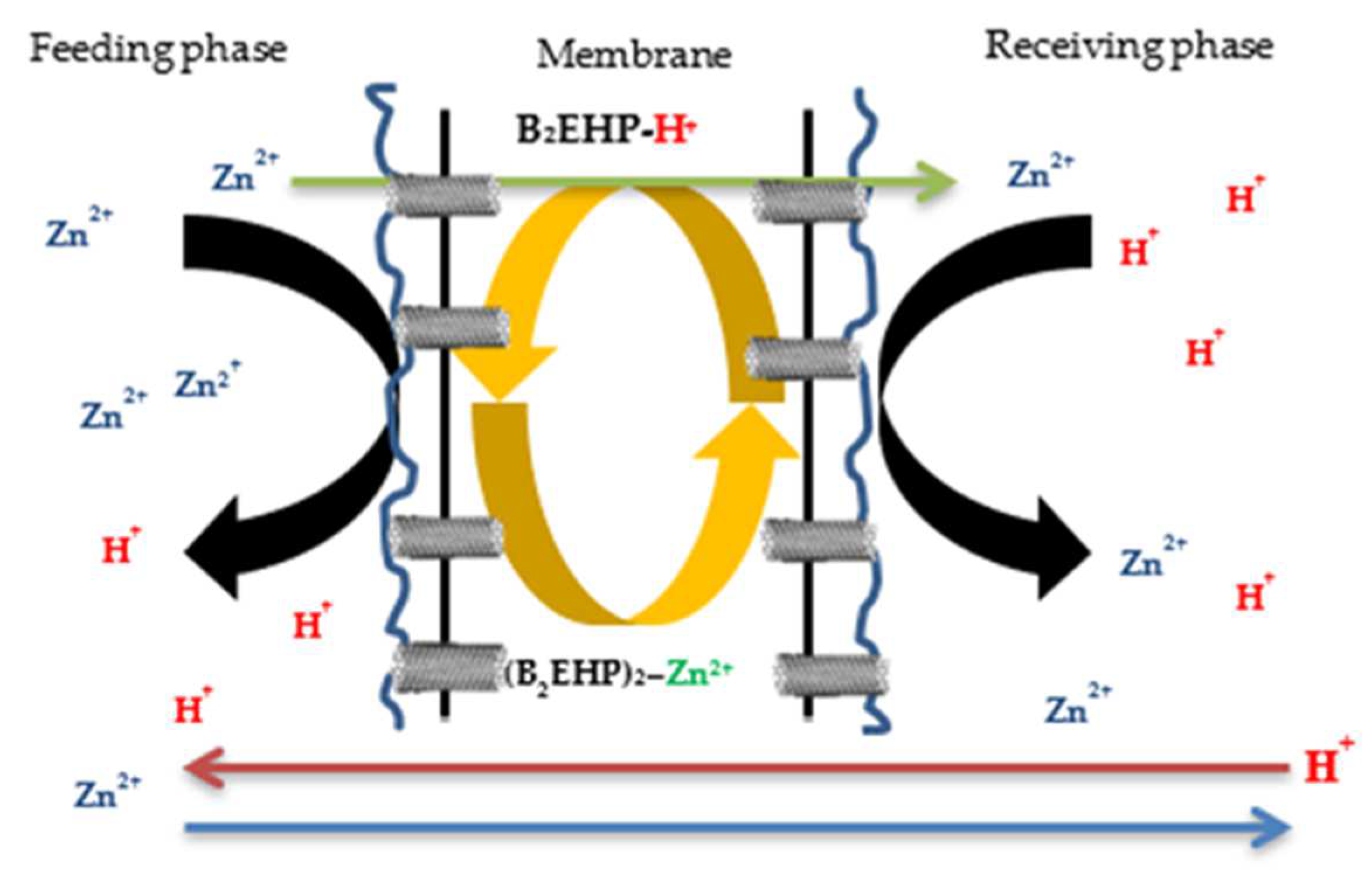 Membranes 12 01020 g015