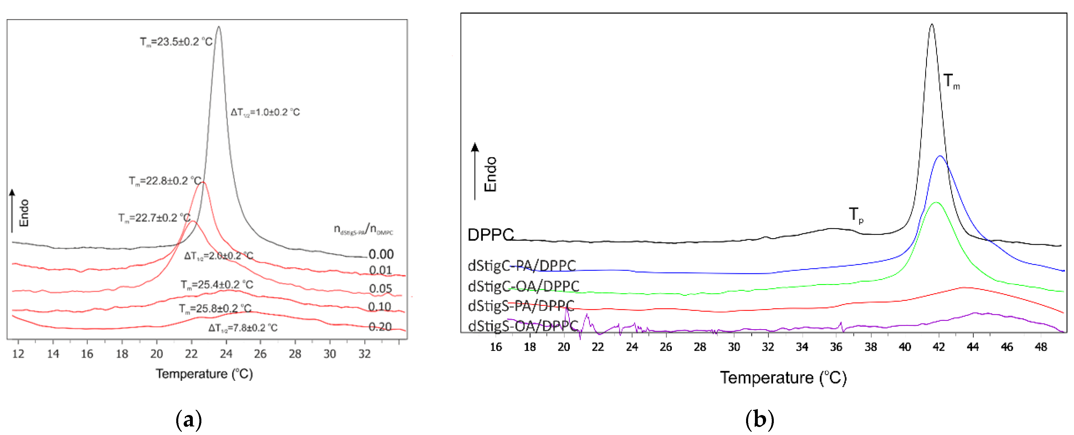 Membranes 12 01054 g003 Membranes 12 01054 g003