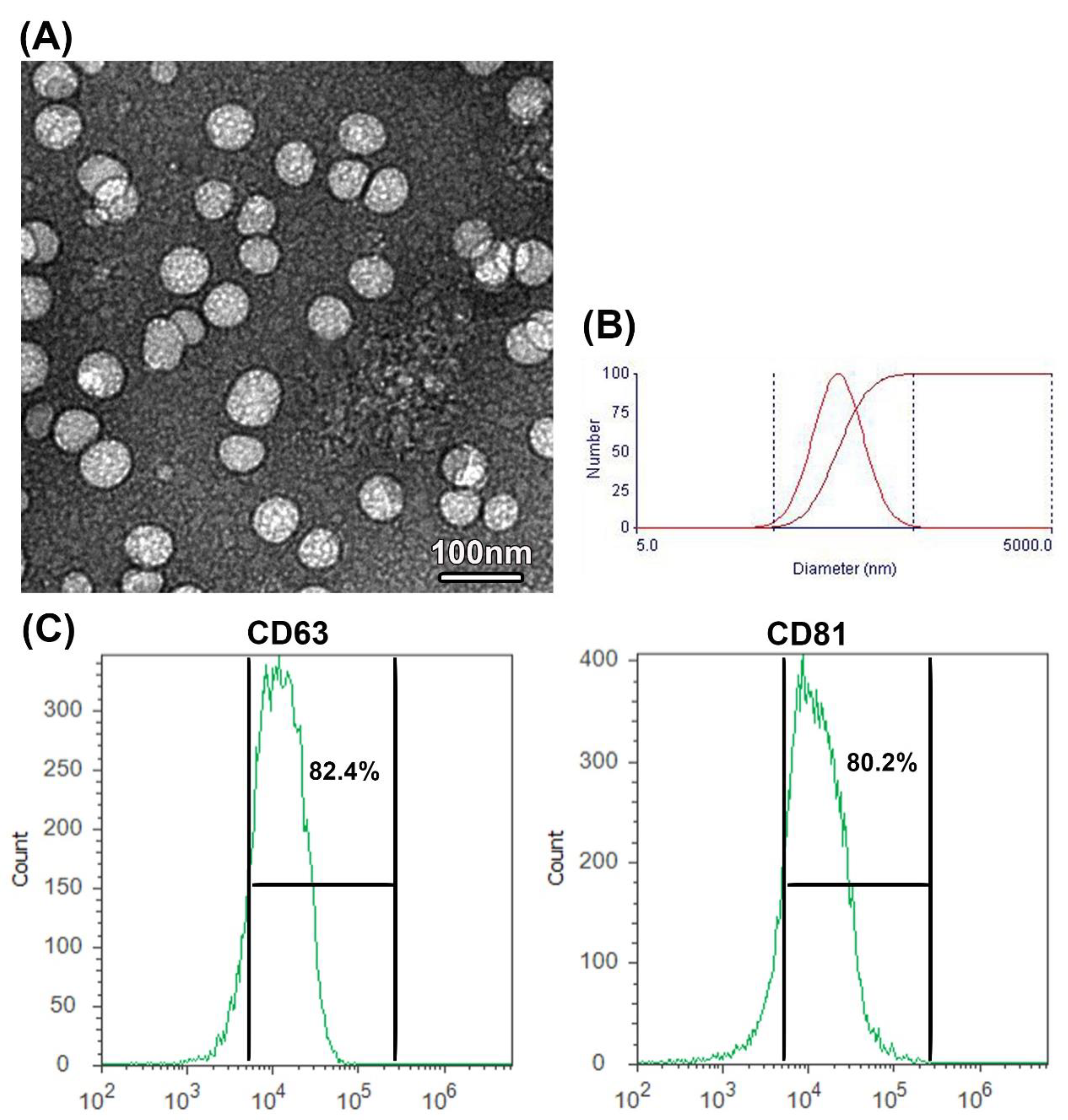 Membranes 12 01060 g001 Membranes 12 01060 g001
