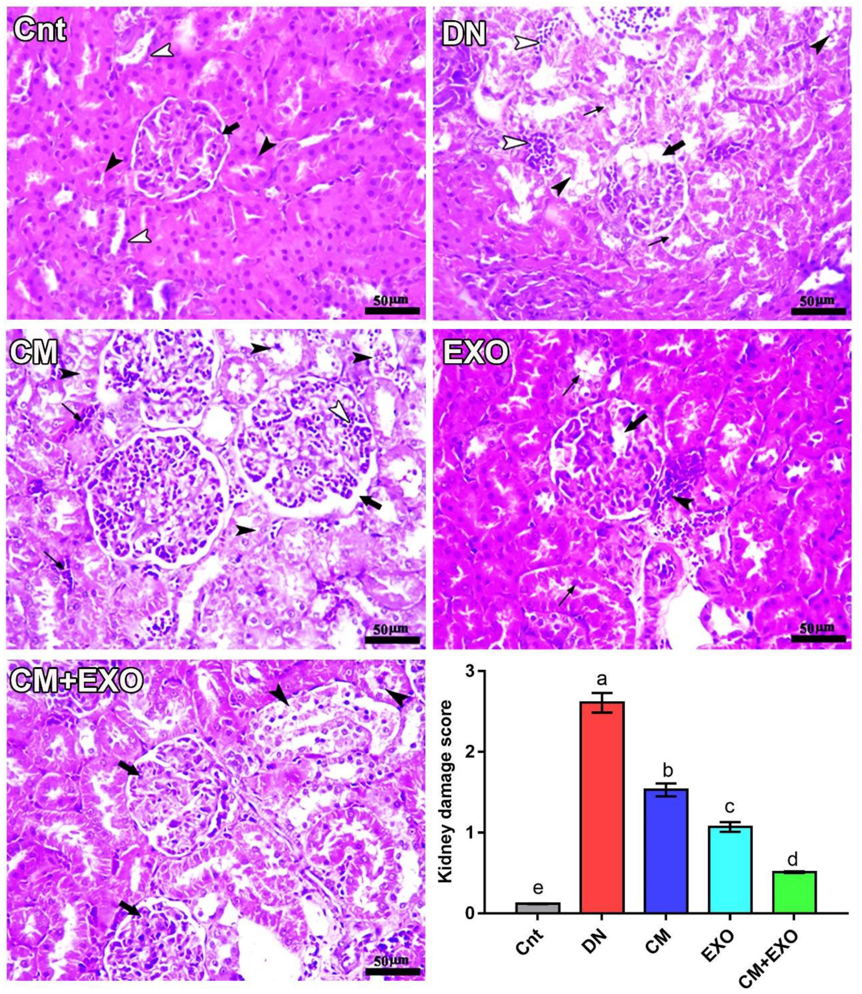 Membranes 12 01060 g005 Membranes 12 01060 g005