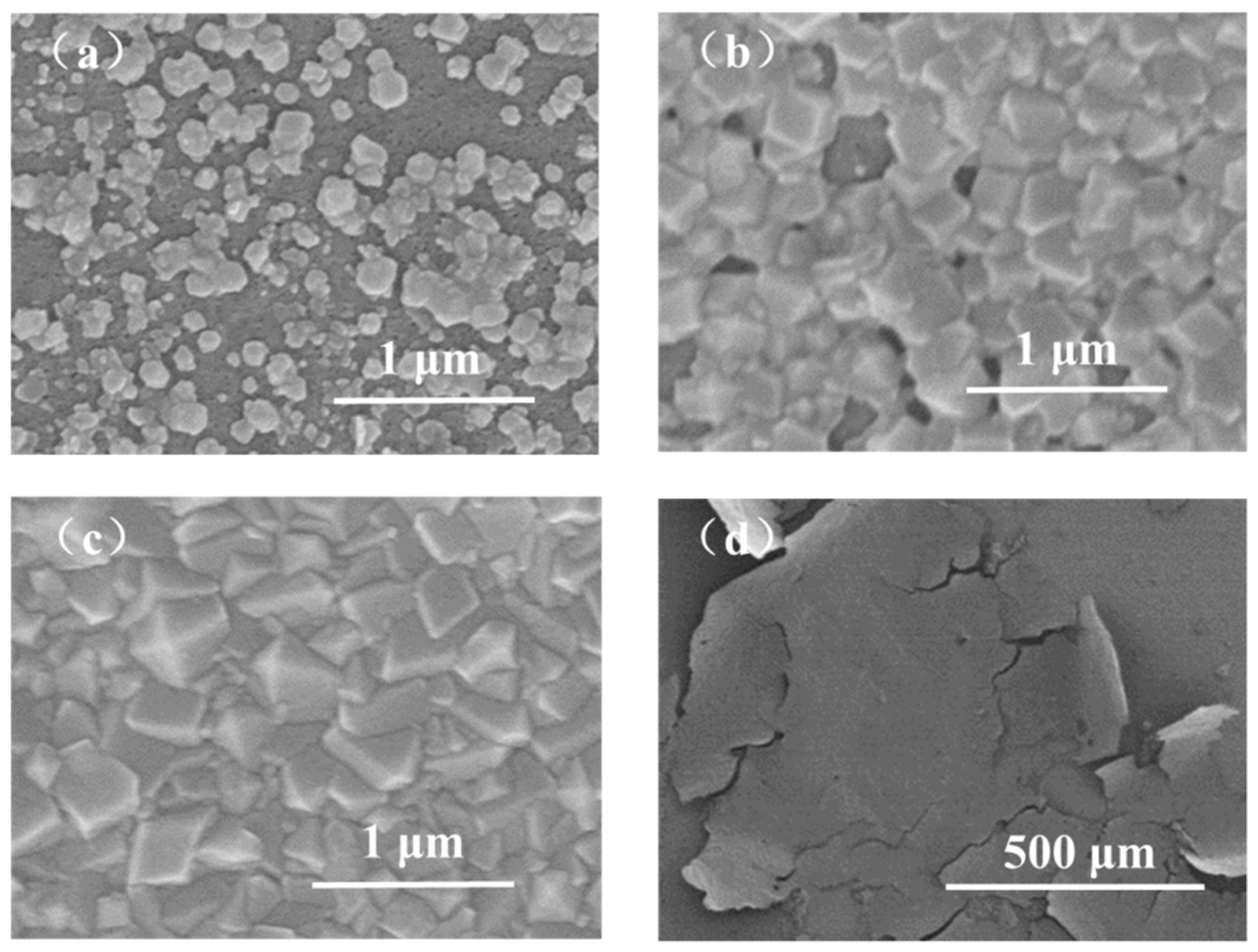 Membranes 12 01062 g005