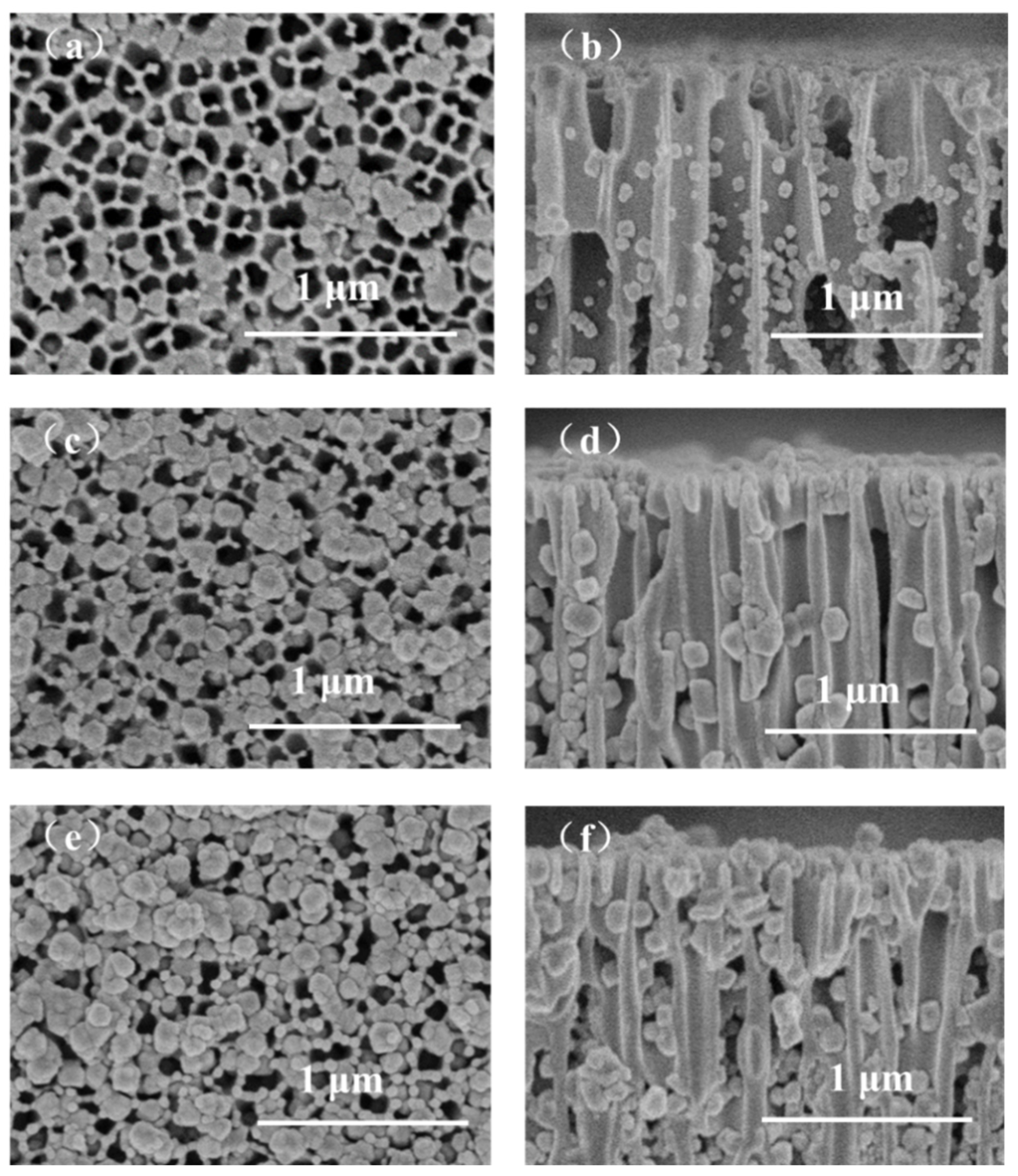Membranes 12 01062 g006
