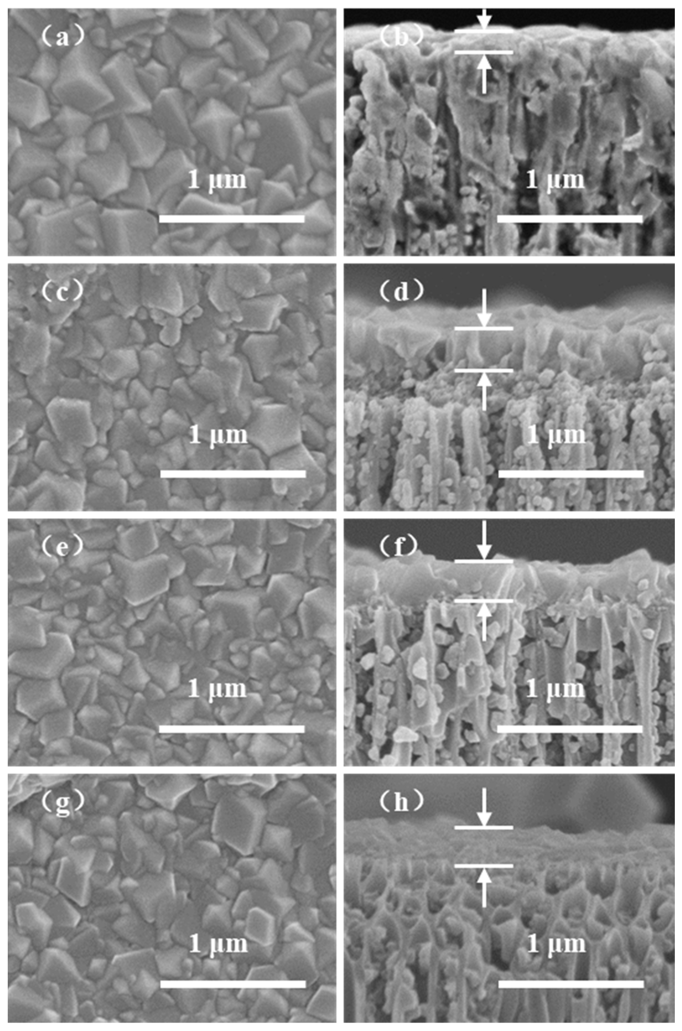 Membranes 12 01062 g008