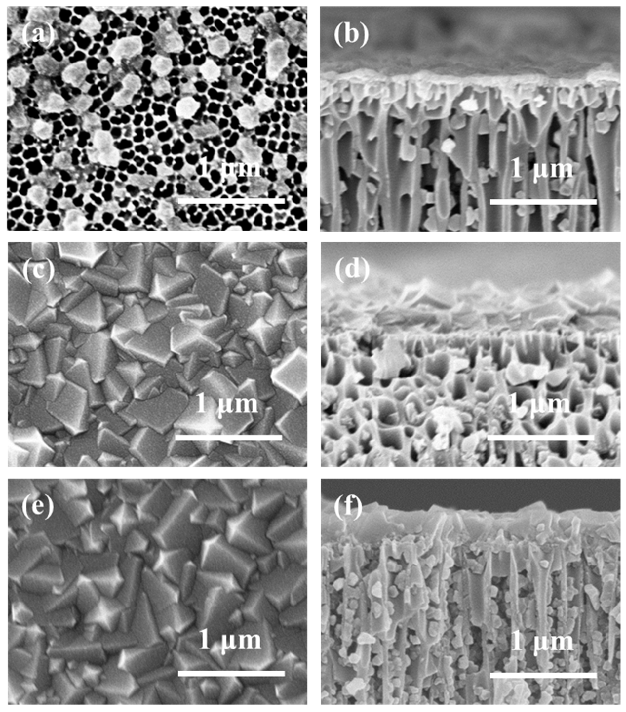 Membranes 12 01062 g010