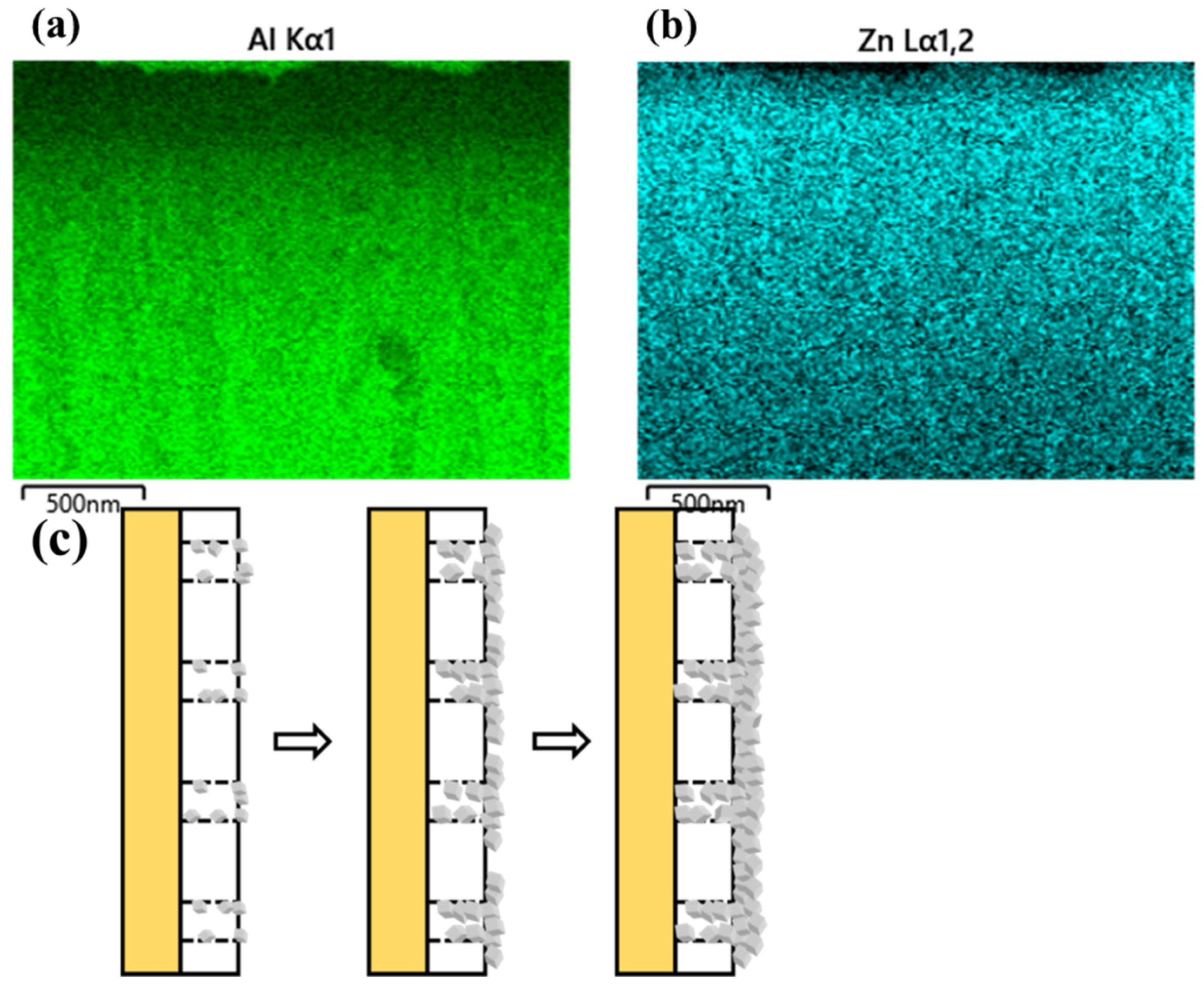 Membranes 12 01062 g011