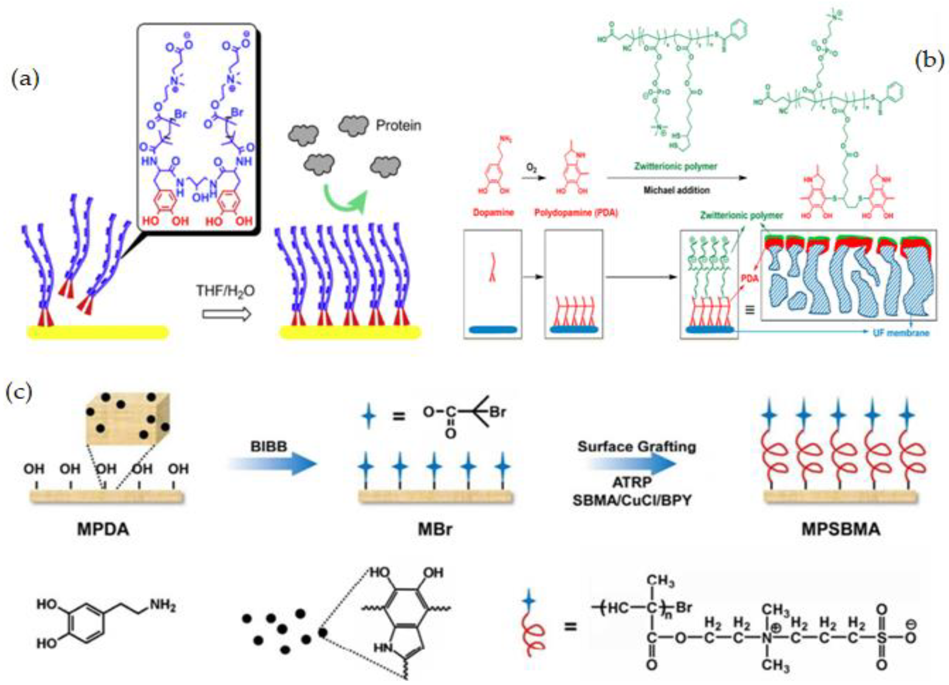 Membranes 12 01063 g011