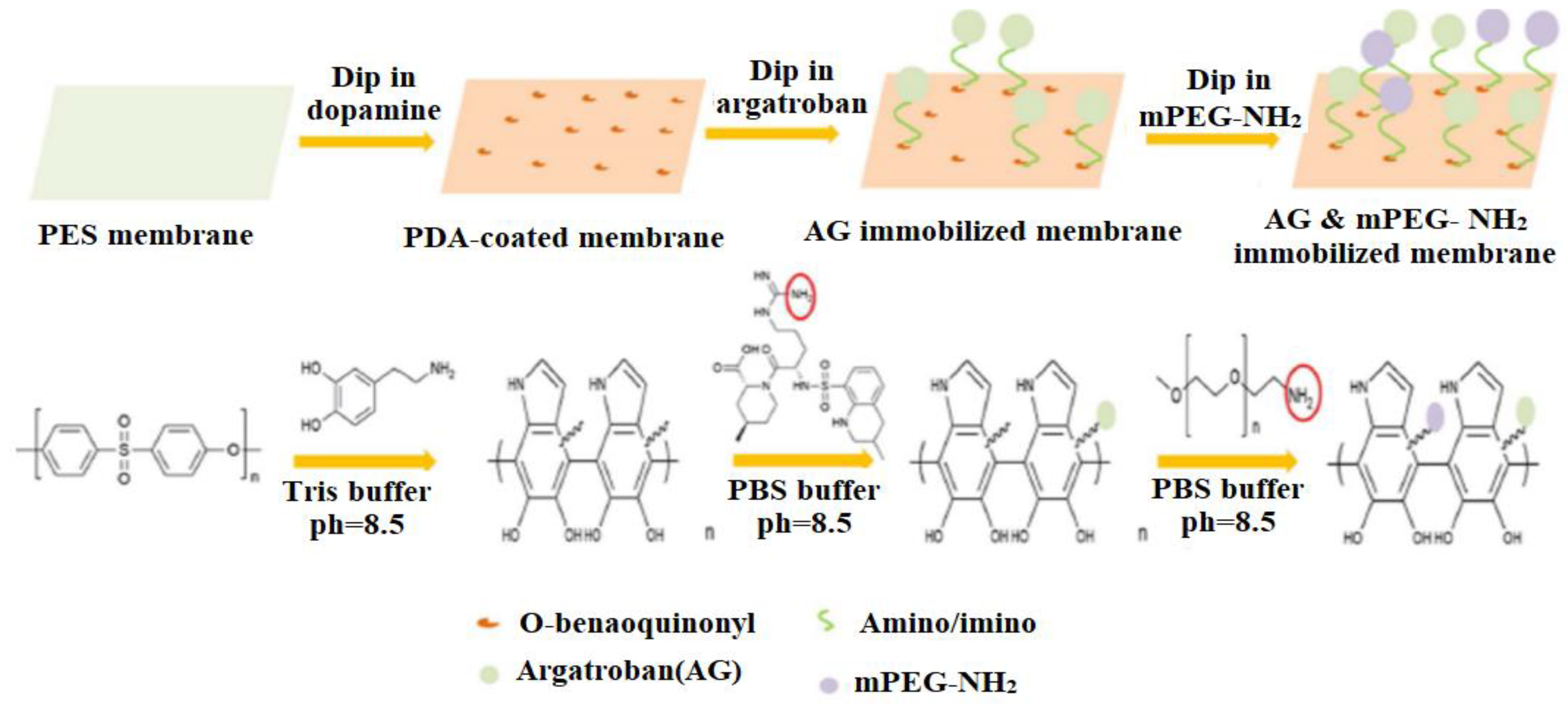 Membranes 12 01063 g015