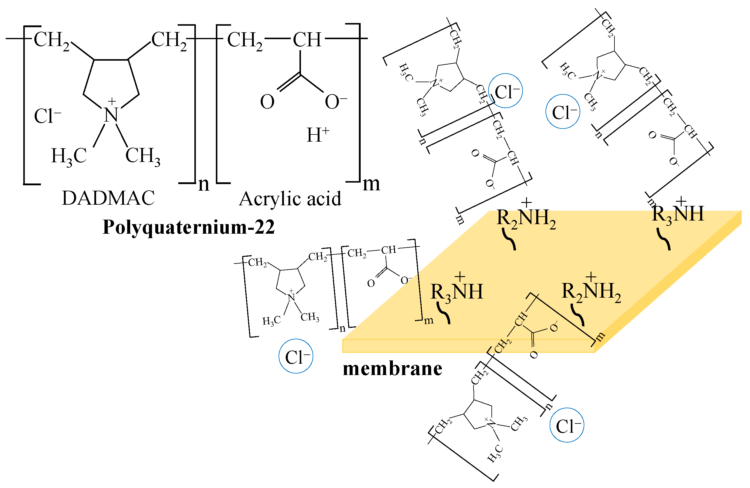 Membranes 12 01065 g001