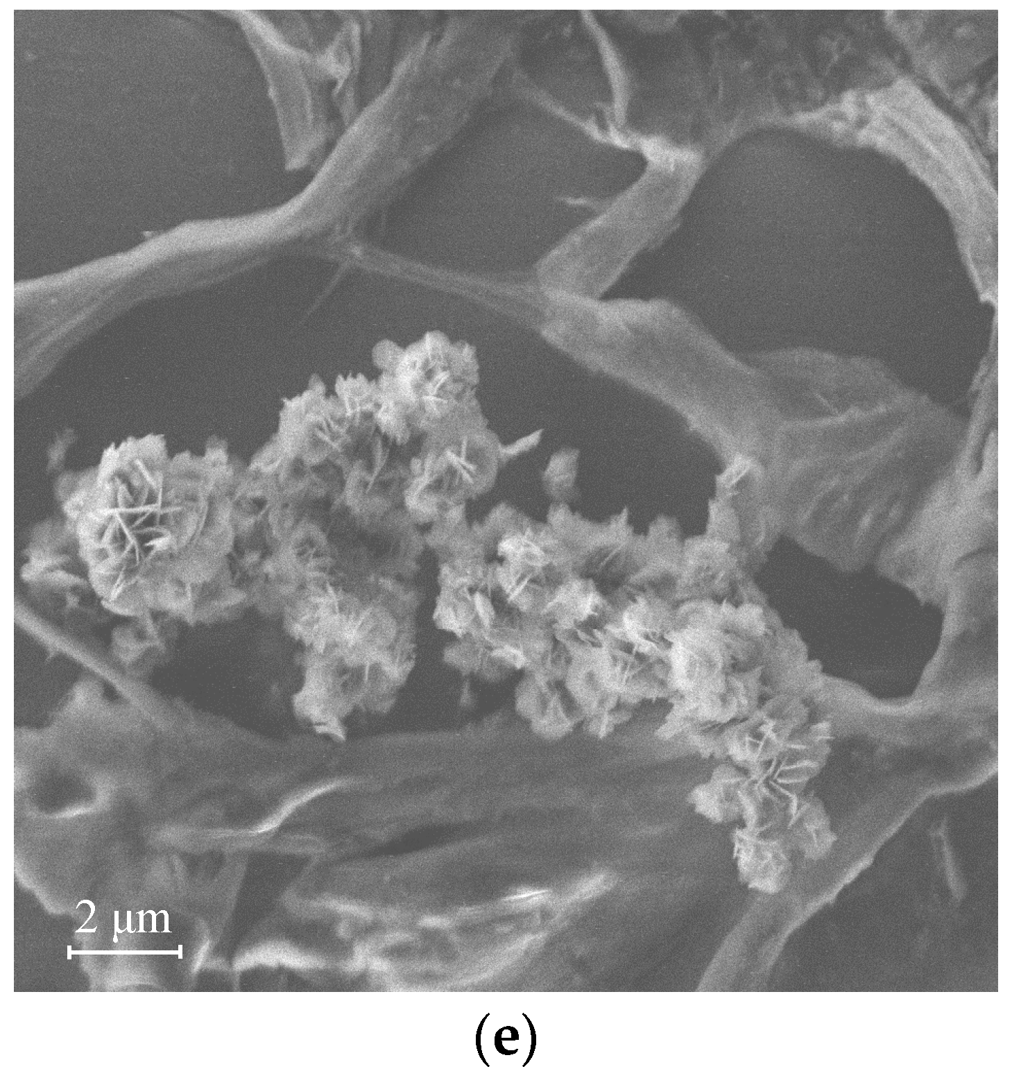 Membranes 12 01065 g010b