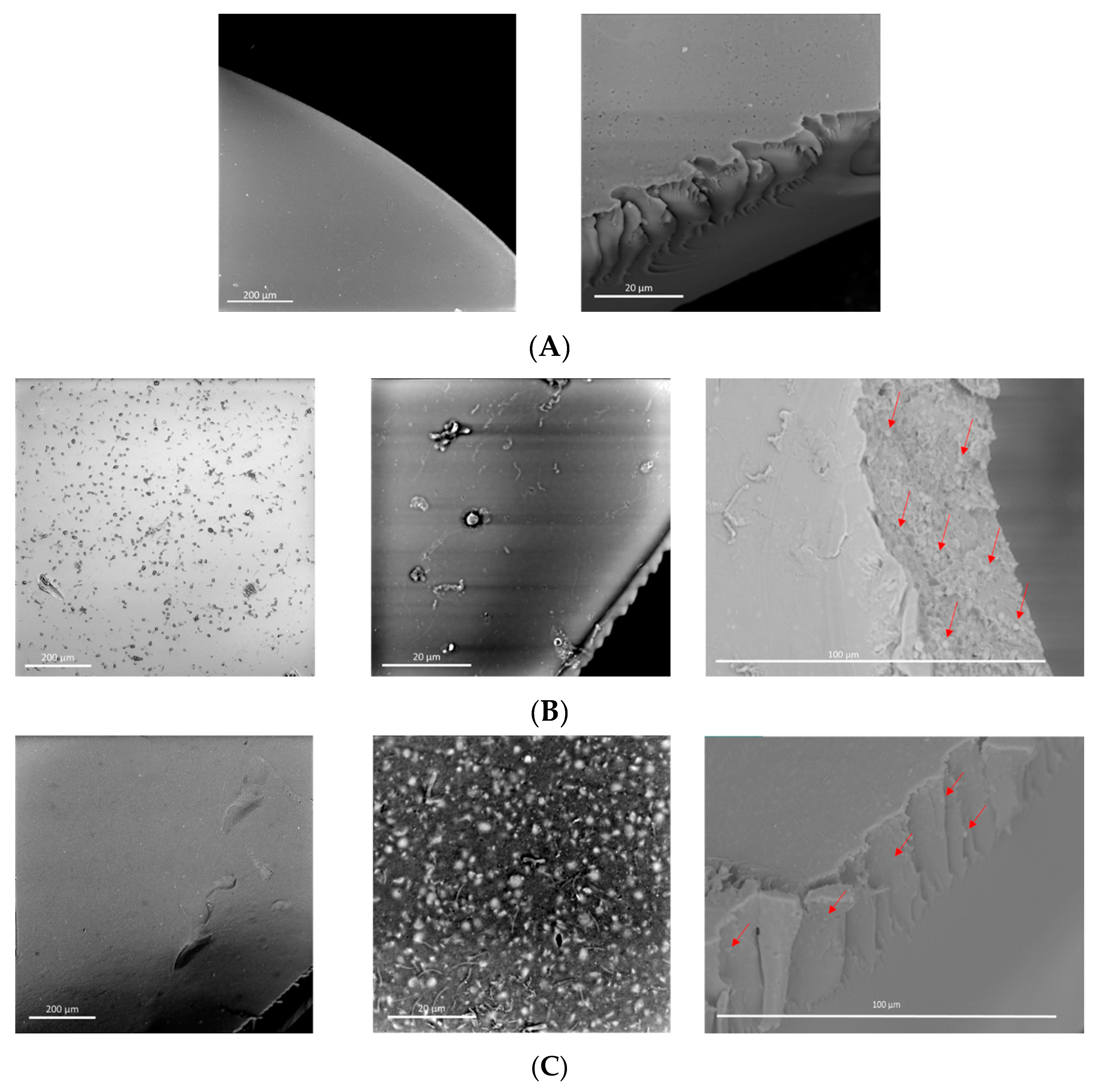 Membranes 12 01075 g012