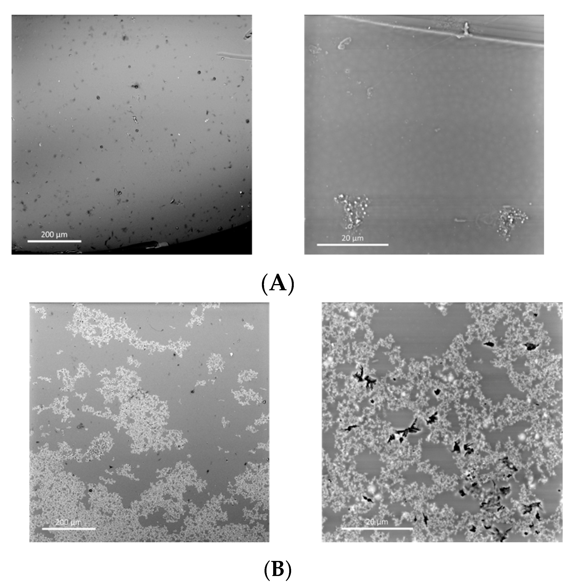 Membranes 12 01075 g013