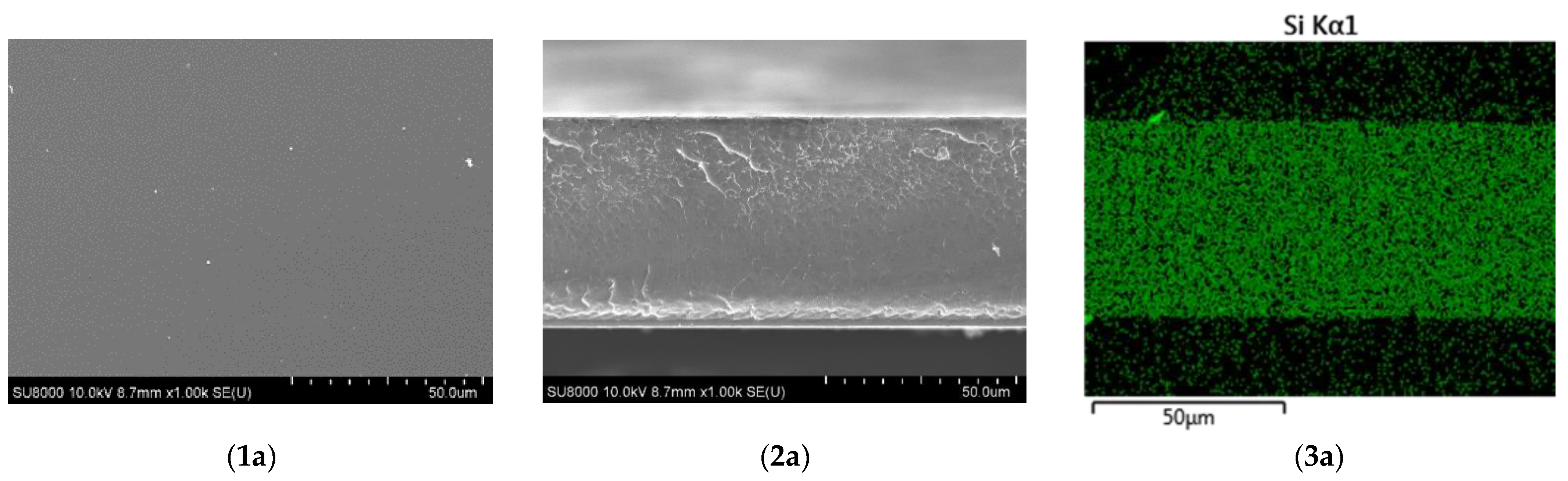 Membranes 12 01078 g003a Membranes 12 01078 g003a