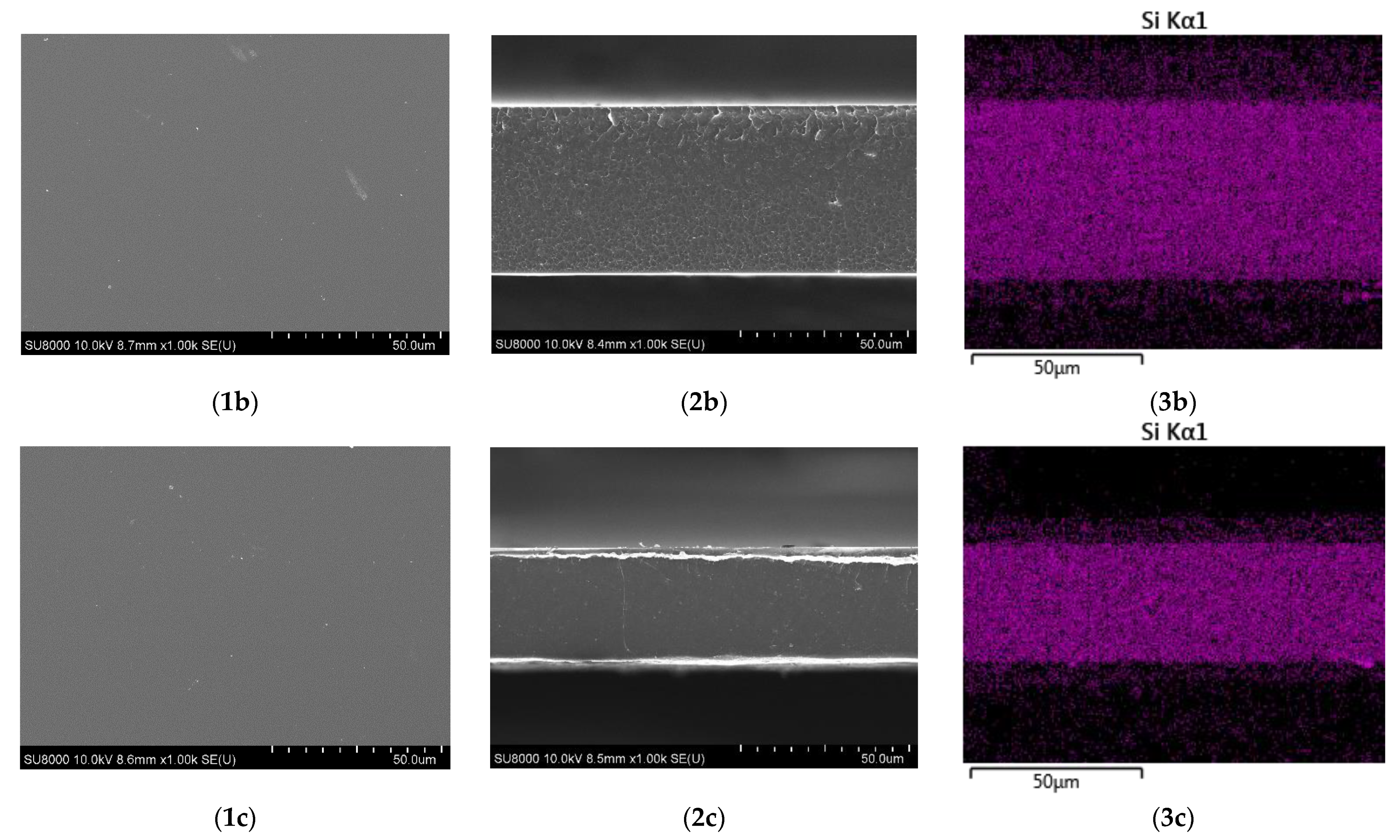 Membranes 12 01078 g003b Membranes 12 01078 g003b